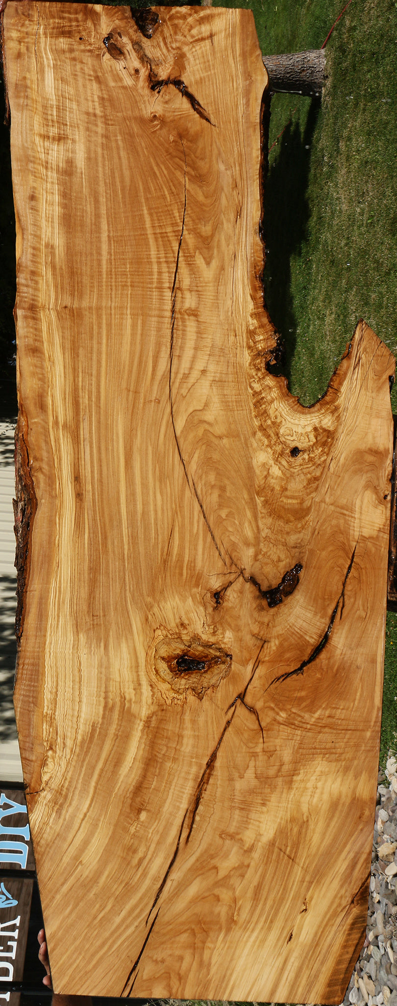 Rustic Italian Olive Live Edge Slab