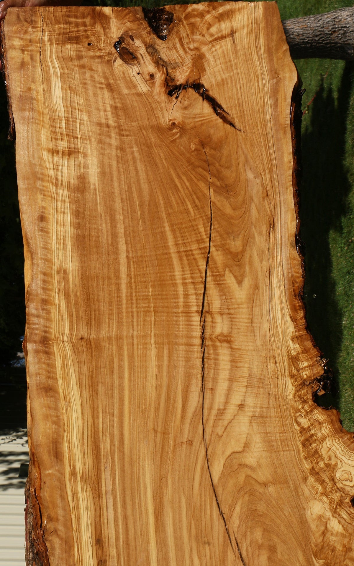 Rustic Italian Olive Live Edge Slab