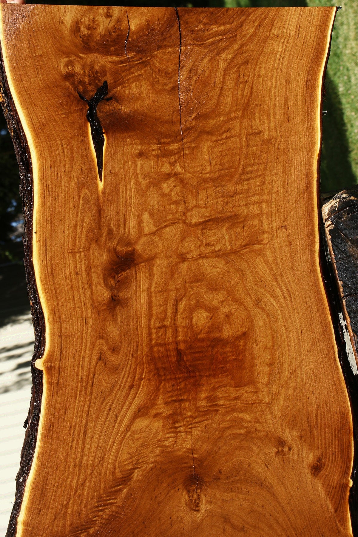 Russian Olive Live Edge Mini Slab