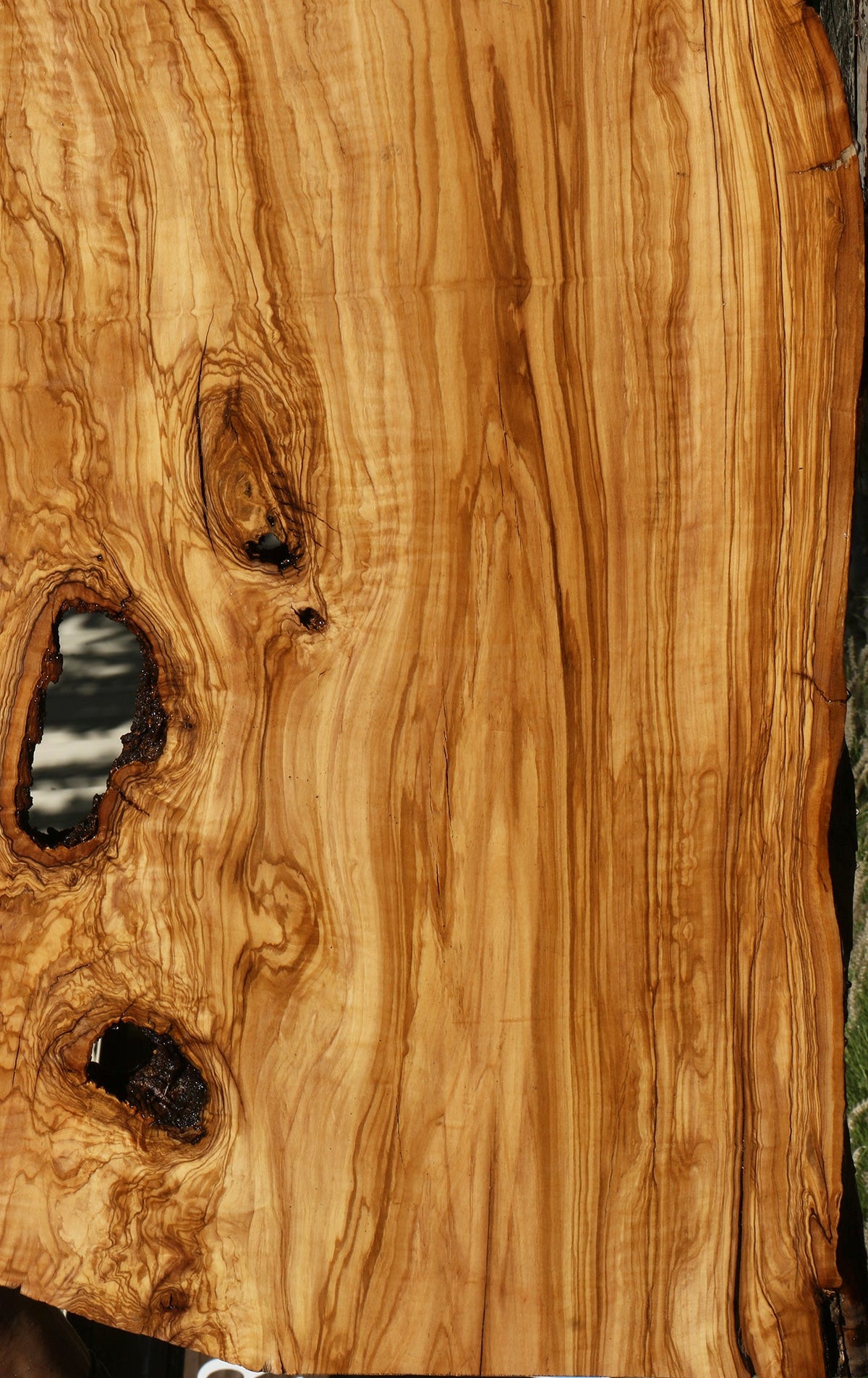 Rustic Italian Olive Live Edge Slab (Freight Shipping Required)
