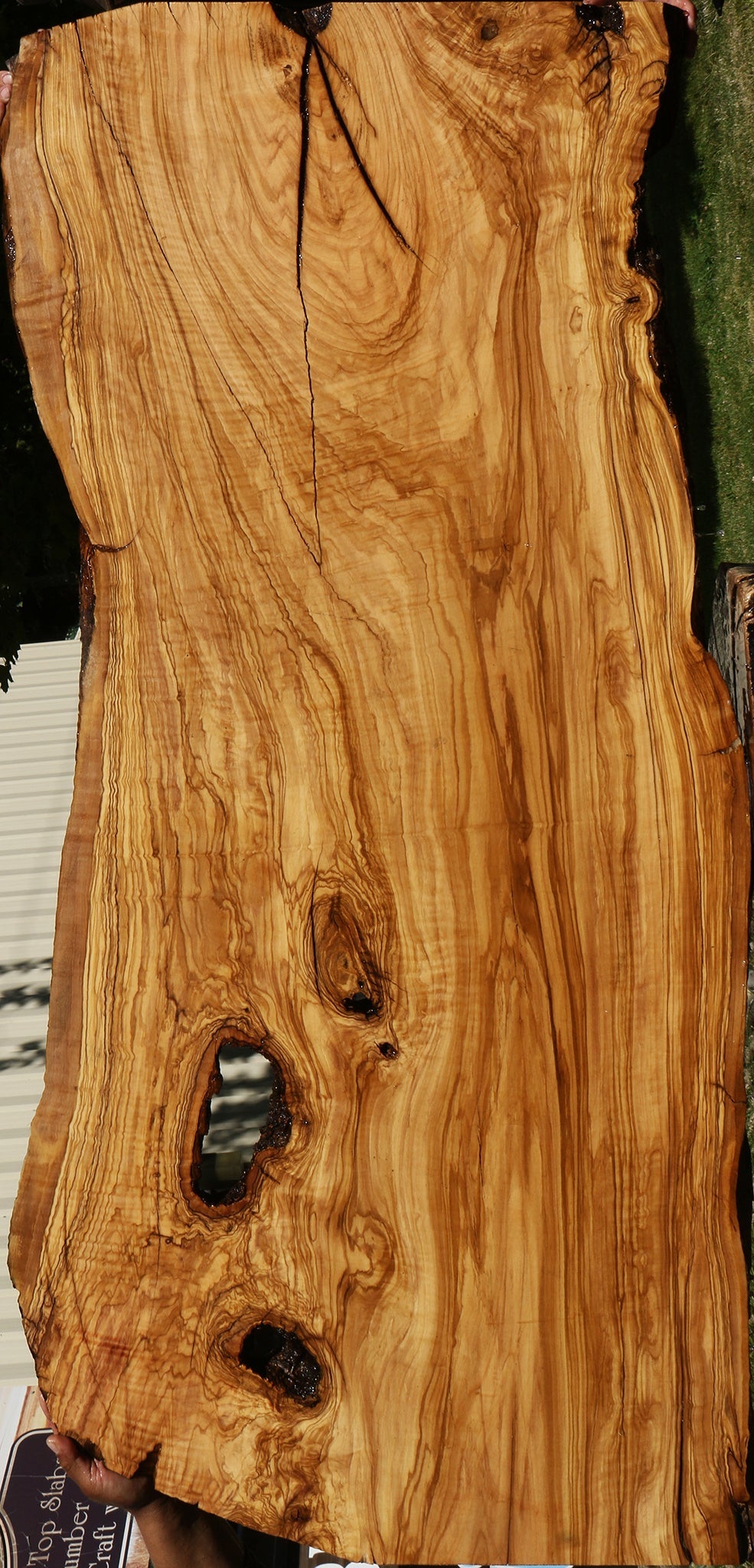 Rustic Italian Olive Live Edge Slab (Freight Shipping Required)