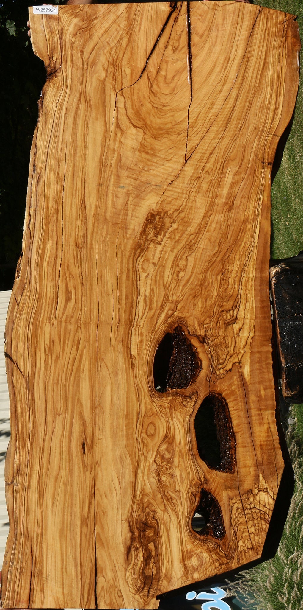 Rustic Italian Olive Live Edge Slab (Freight Shipping Required)