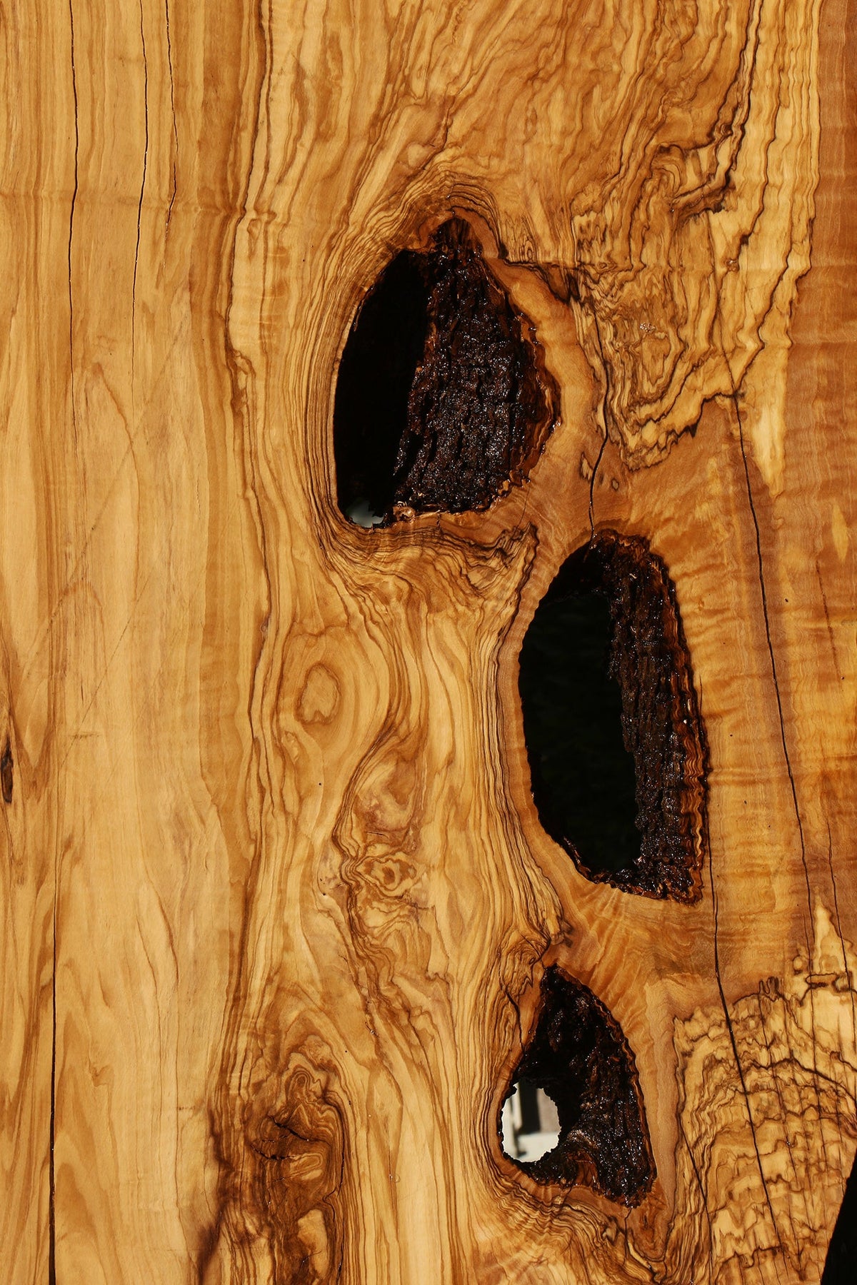Rustic Italian Olive Live Edge Slab (Freight Shipping Required)