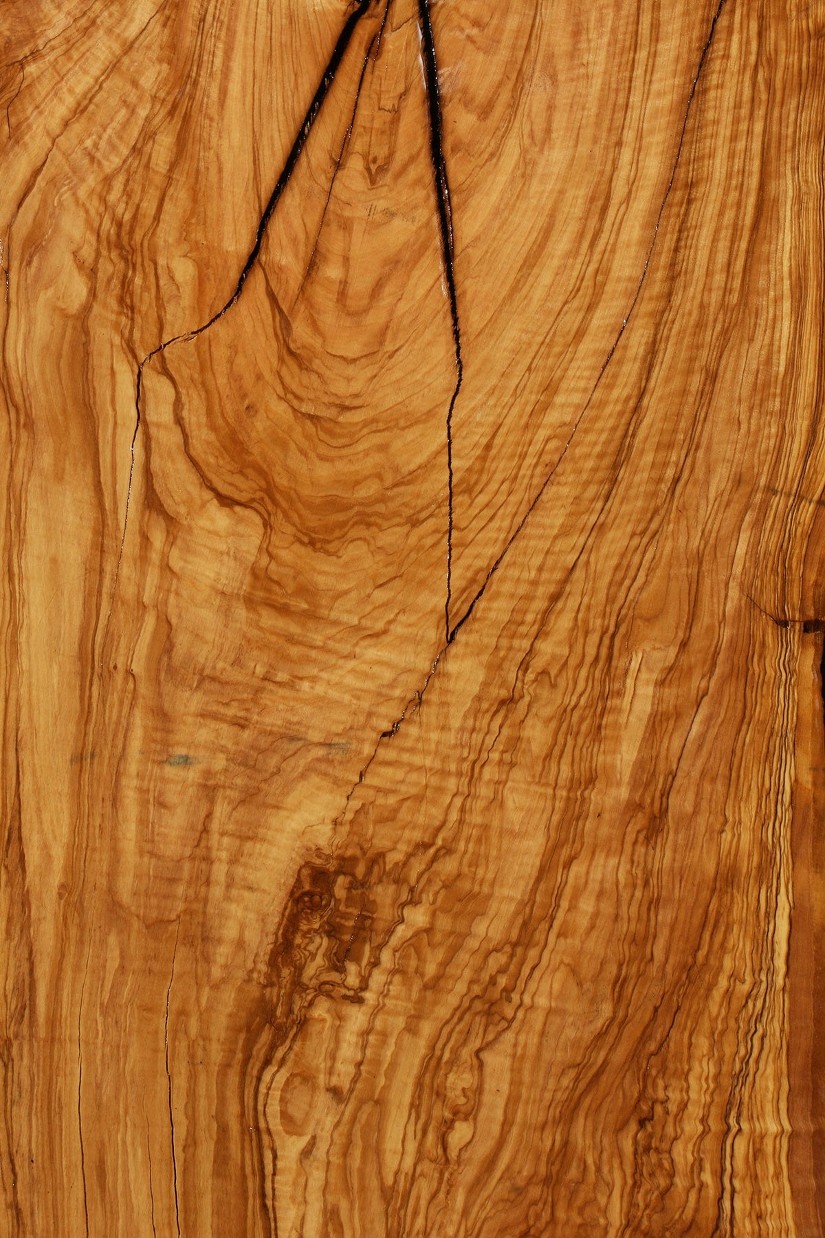 Rustic Italian Olive Live Edge Slab (Freight Shipping Required)