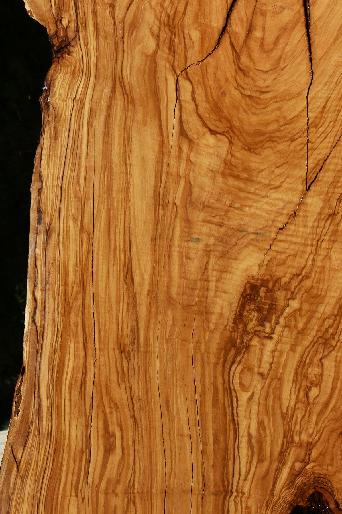 Rustic Italian Olive Live Edge Slab (Freight Shipping Required)