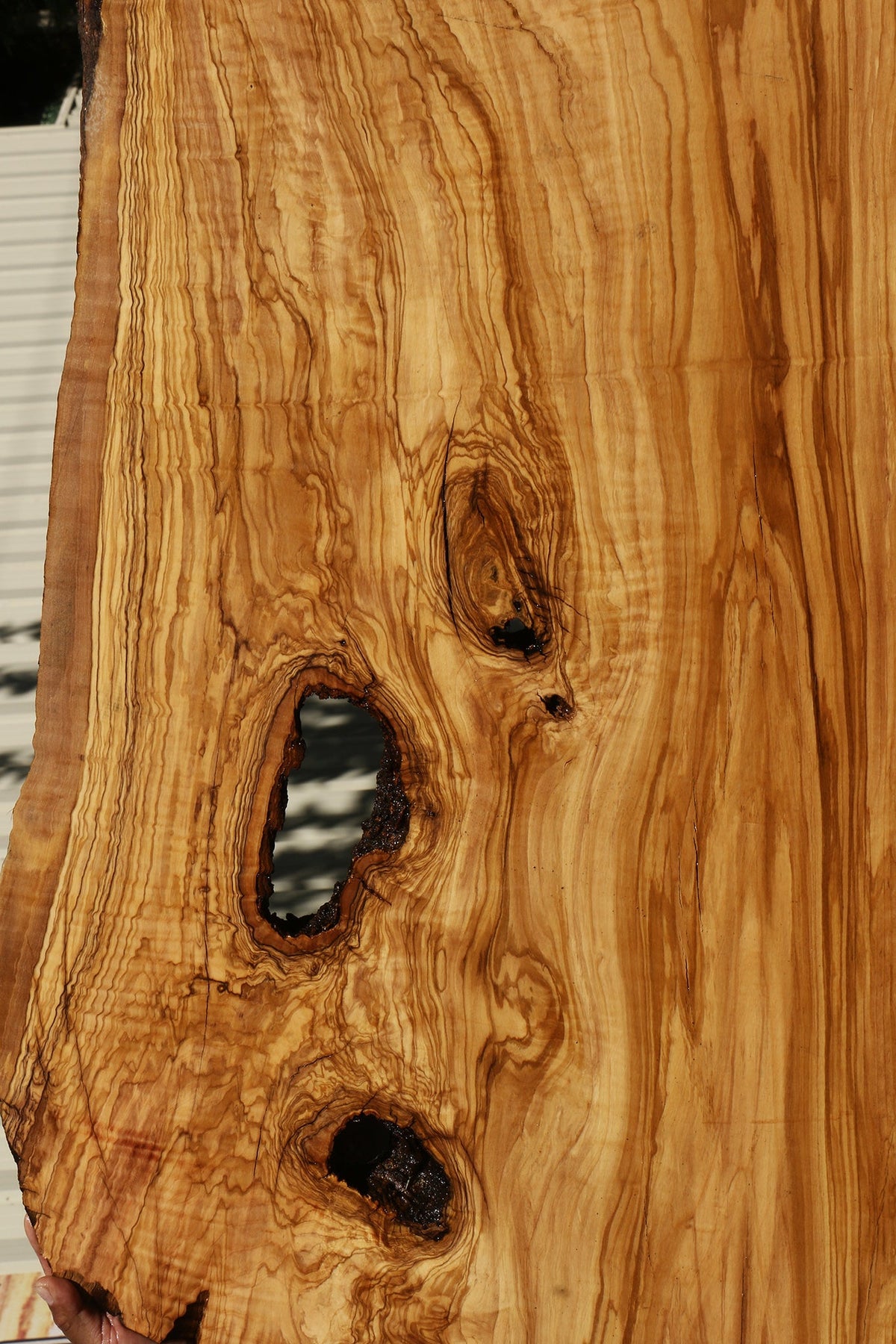 Rustic Italian Olive Live Edge Slab (Freight Shipping Required)