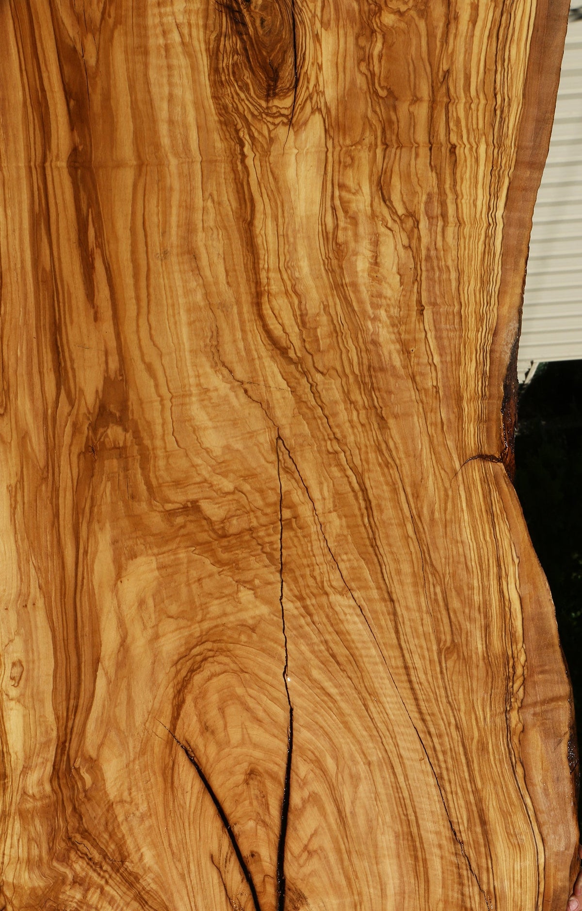 Rustic Italian Olive Live Edge Slab (Freight Shipping Required)