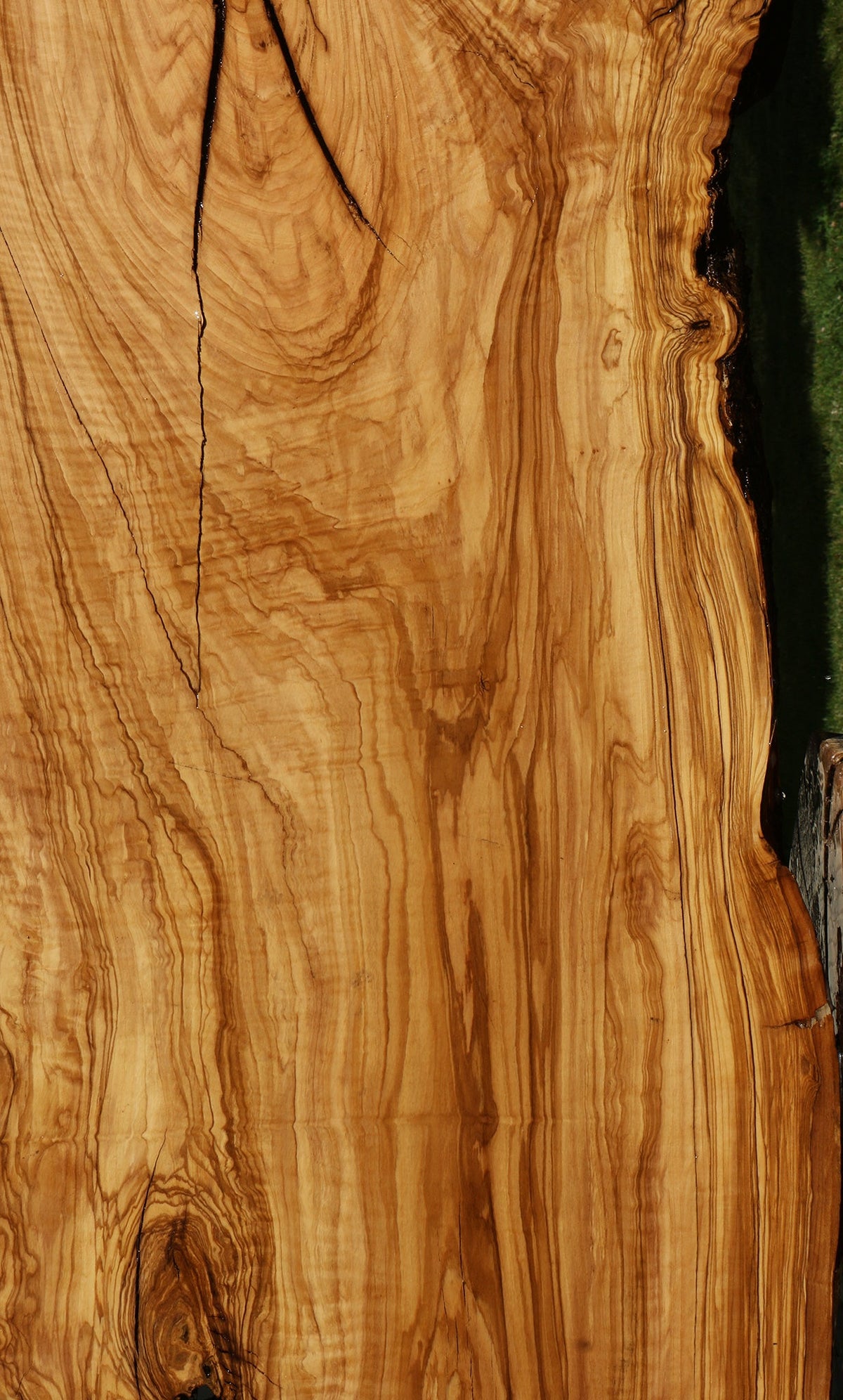 Rustic Italian Olive Live Edge Slab (Freight Shipping Required)