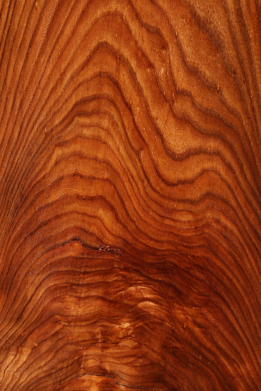 Figured Elm Mini Slab