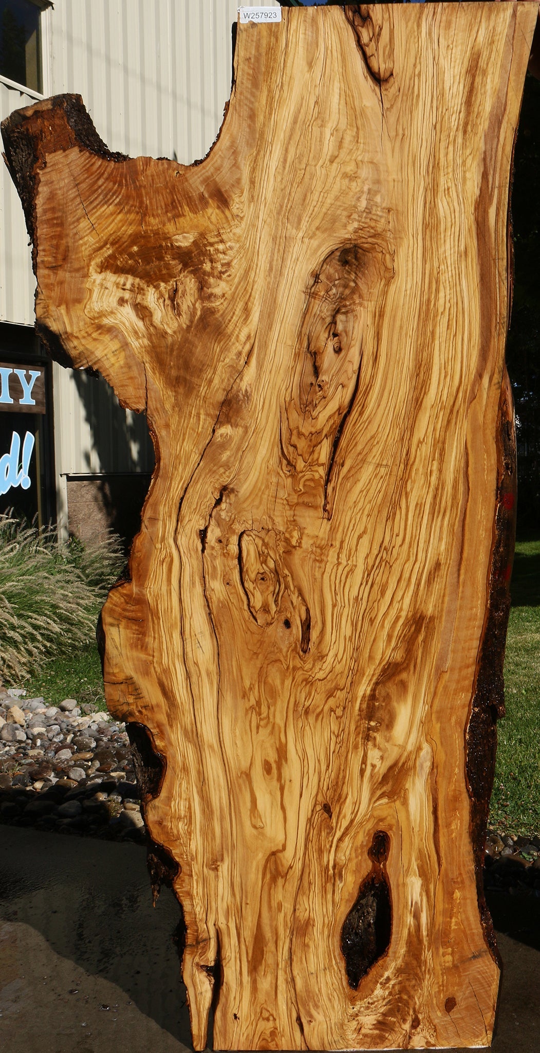 Rustic Italian Olive Live Edge Slab