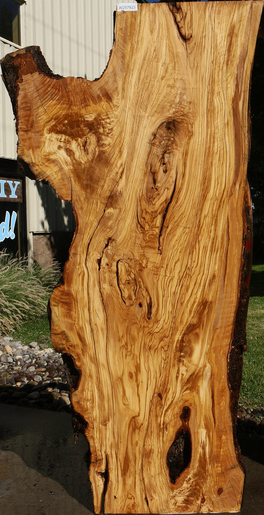 Rustic Italian Olive Live Edge Slab