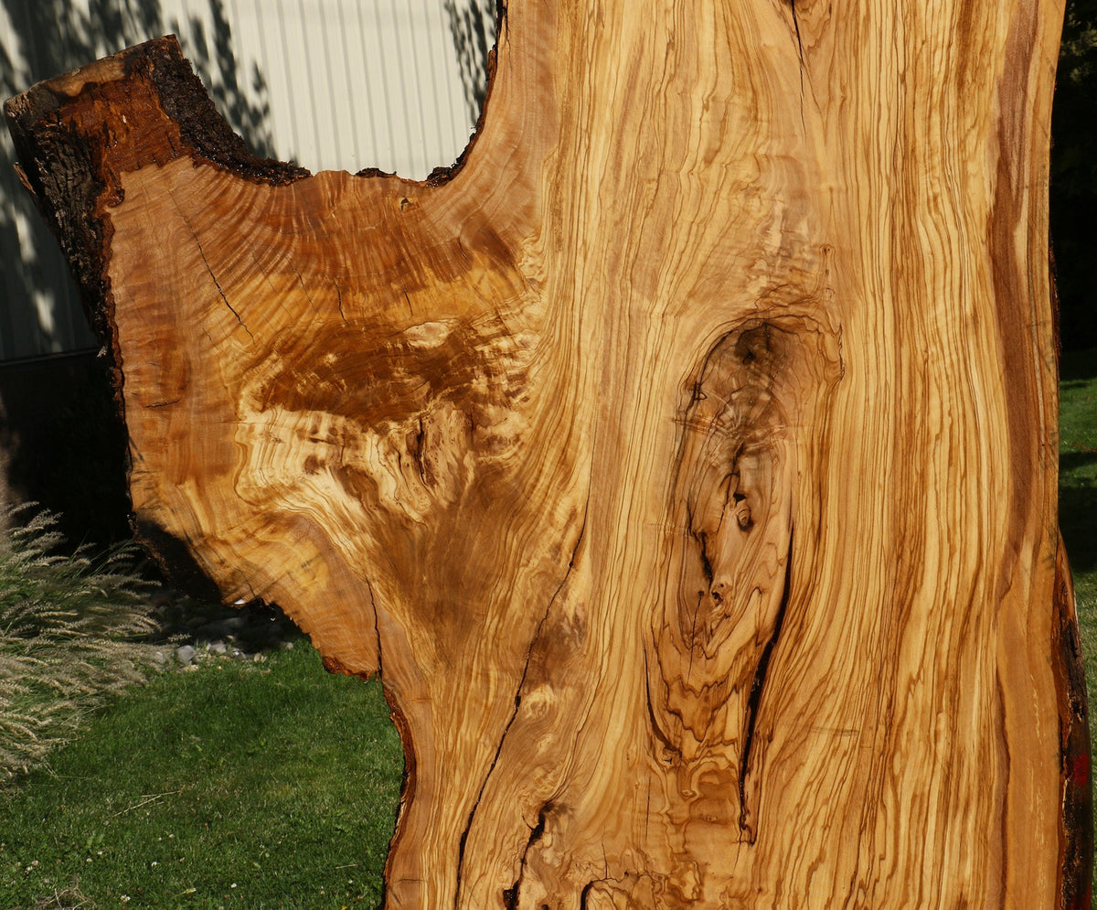 Rustic Italian Olive Live Edge Slab