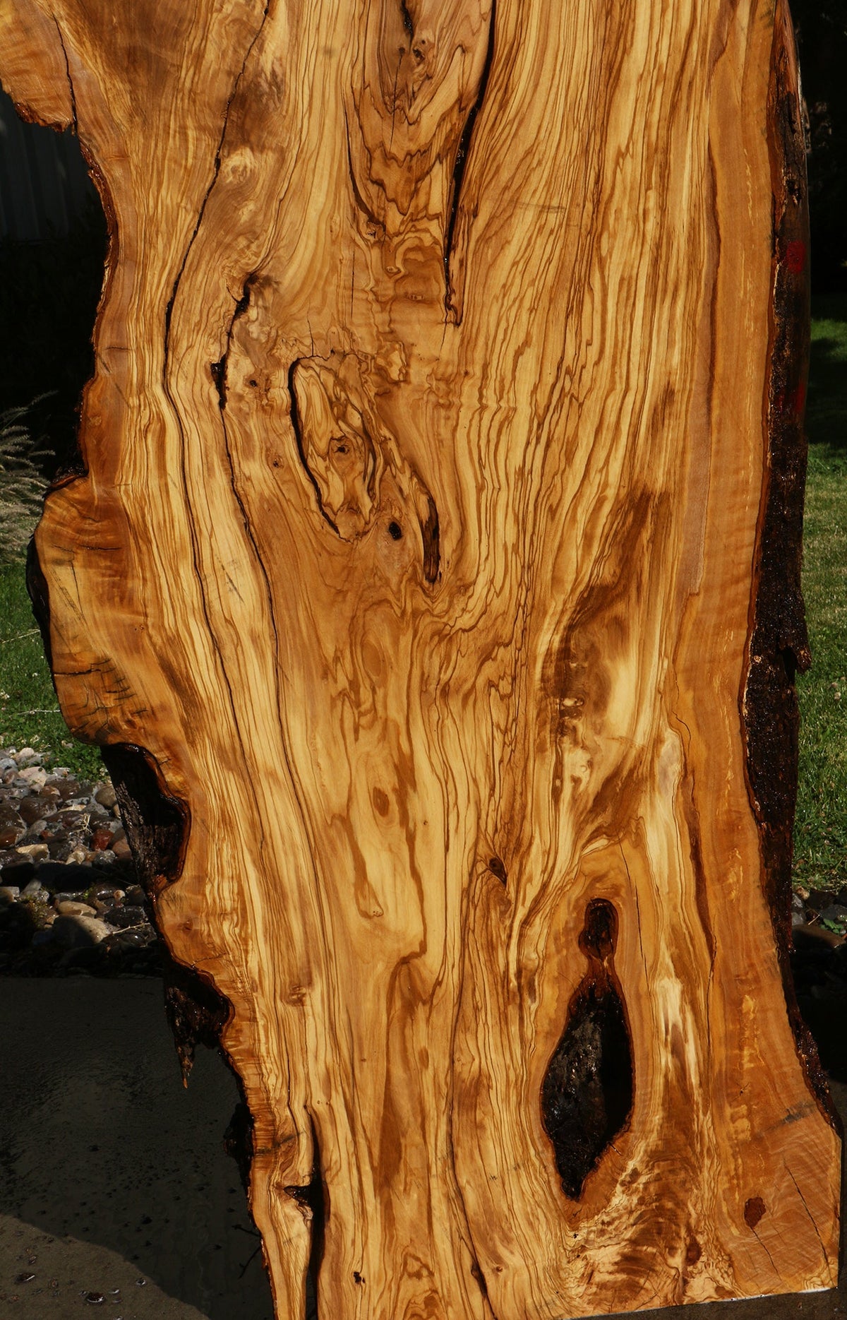Rustic Italian Olive Live Edge Slab