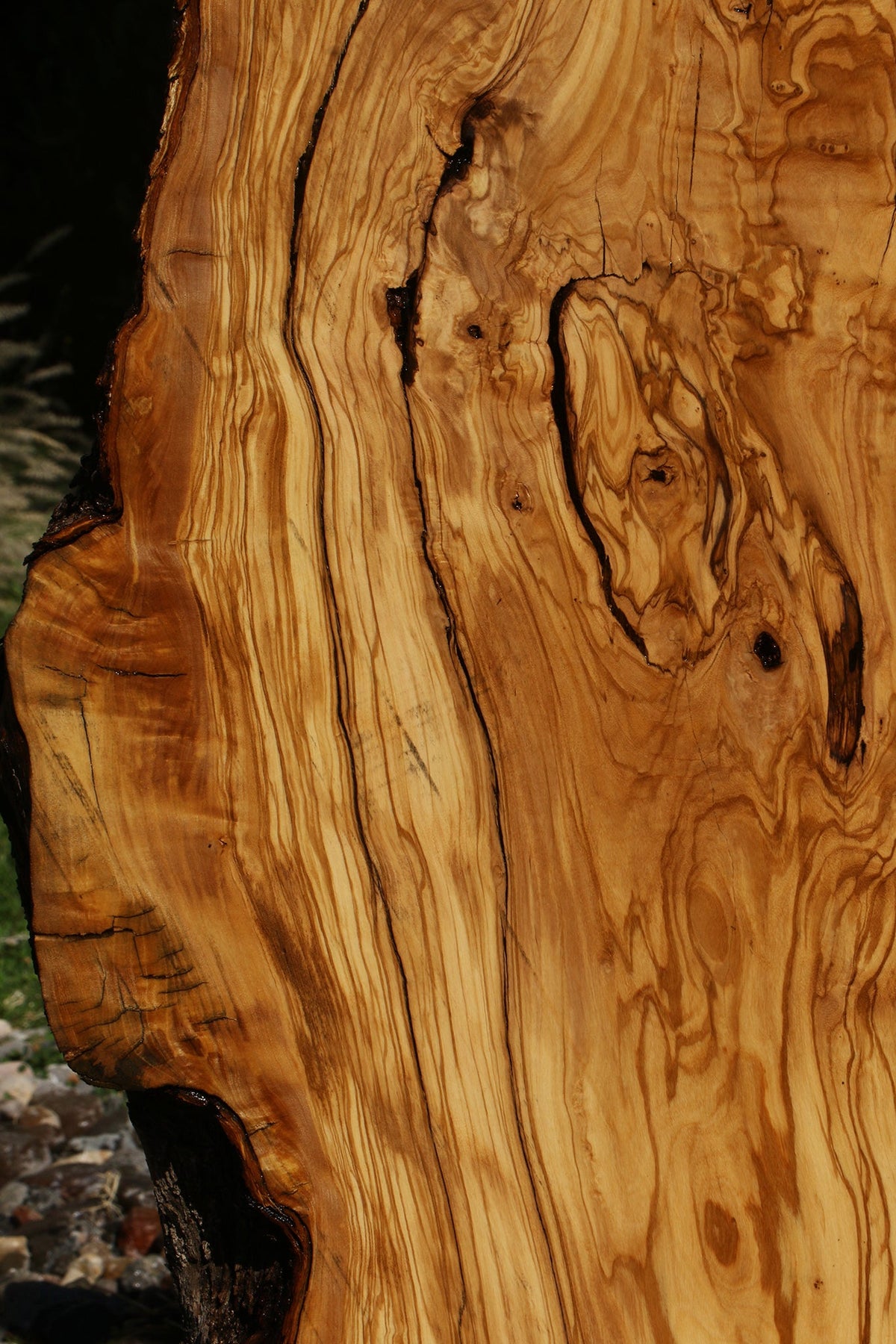 Rustic Italian Olive Live Edge Slab