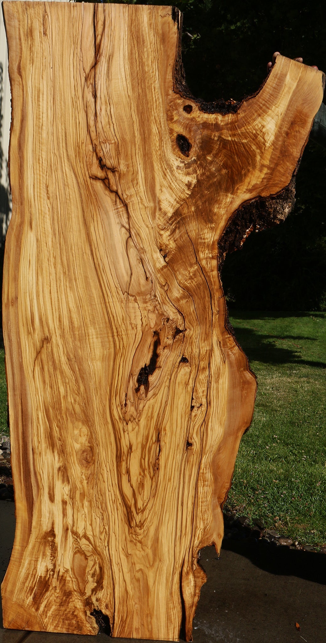 Rustic Italian Olive Live Edge Slab