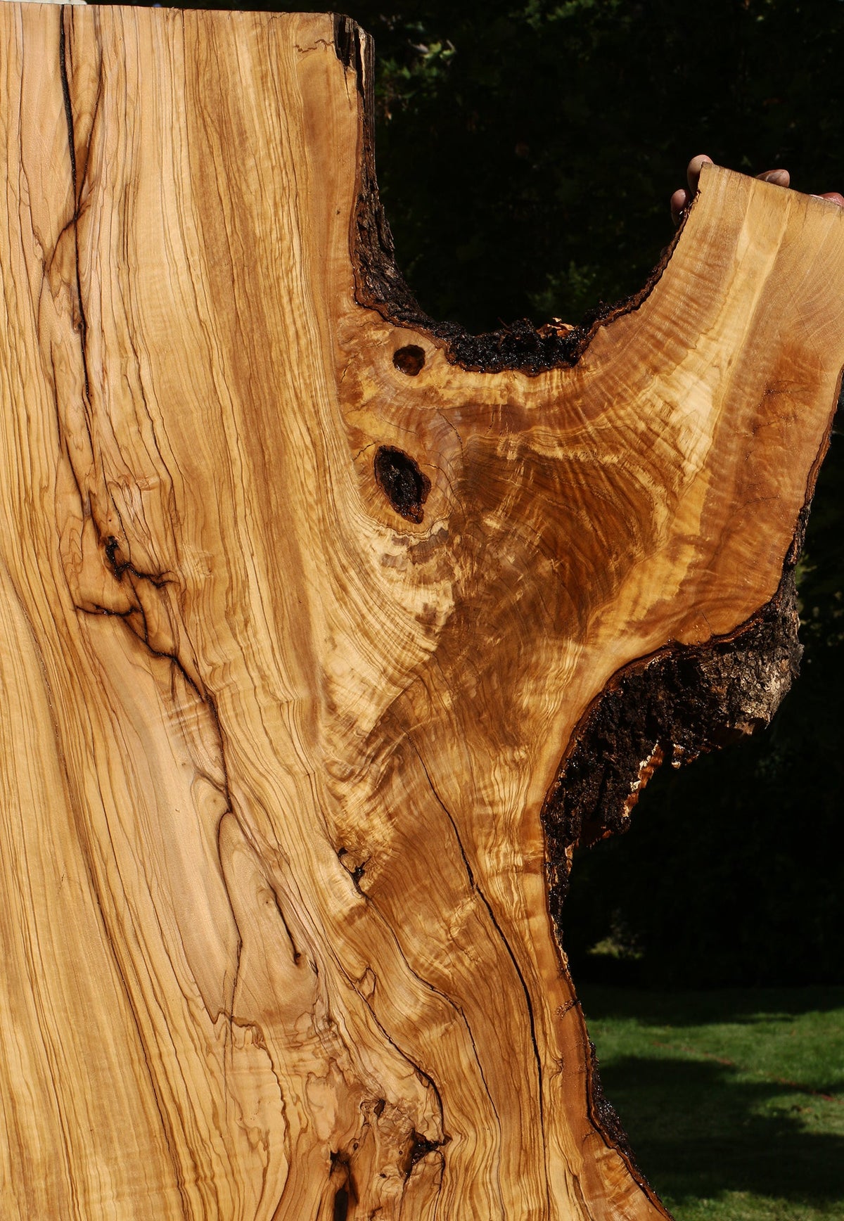 Rustic Italian Olive Live Edge Slab