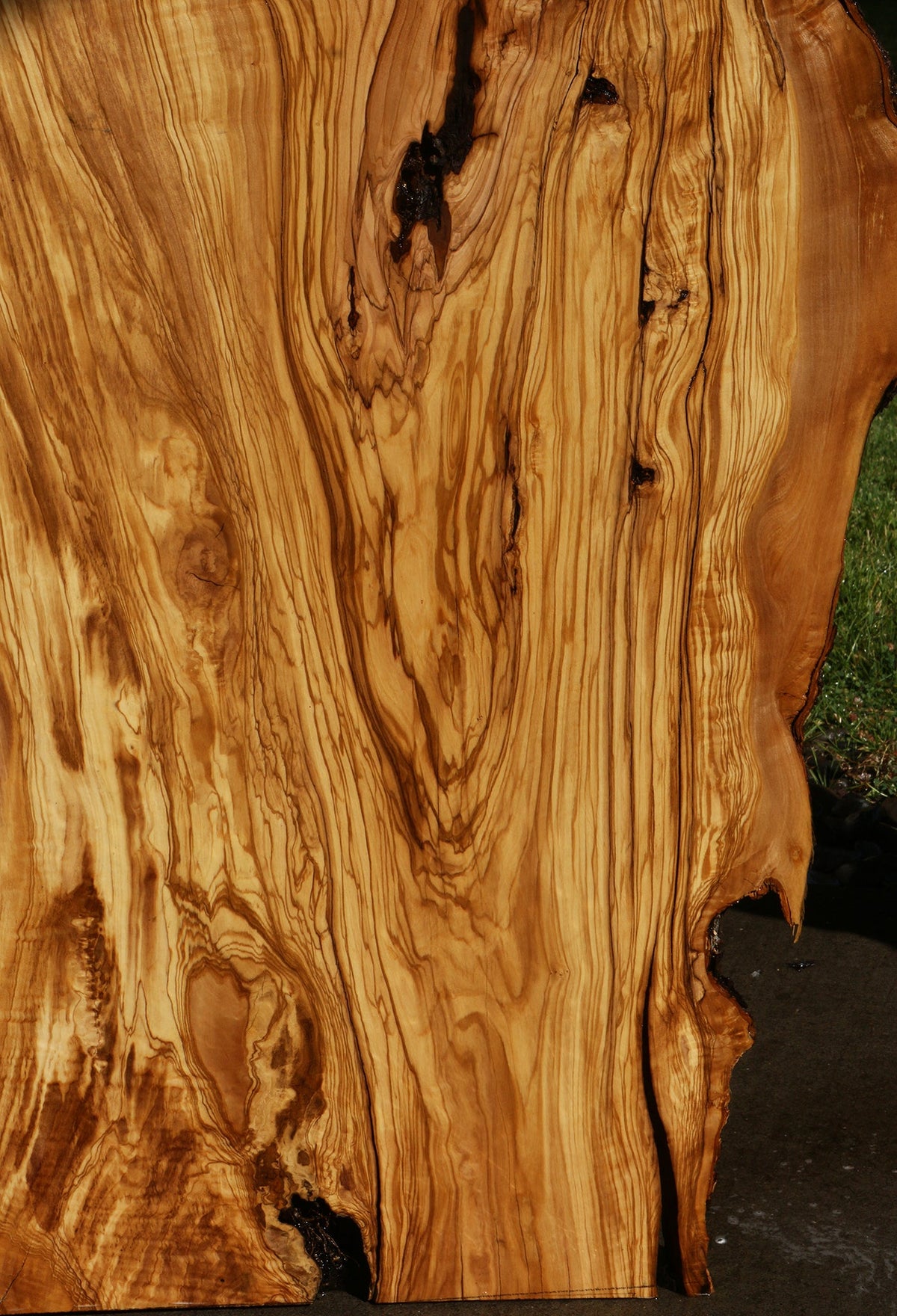 Rustic Italian Olive Live Edge Slab