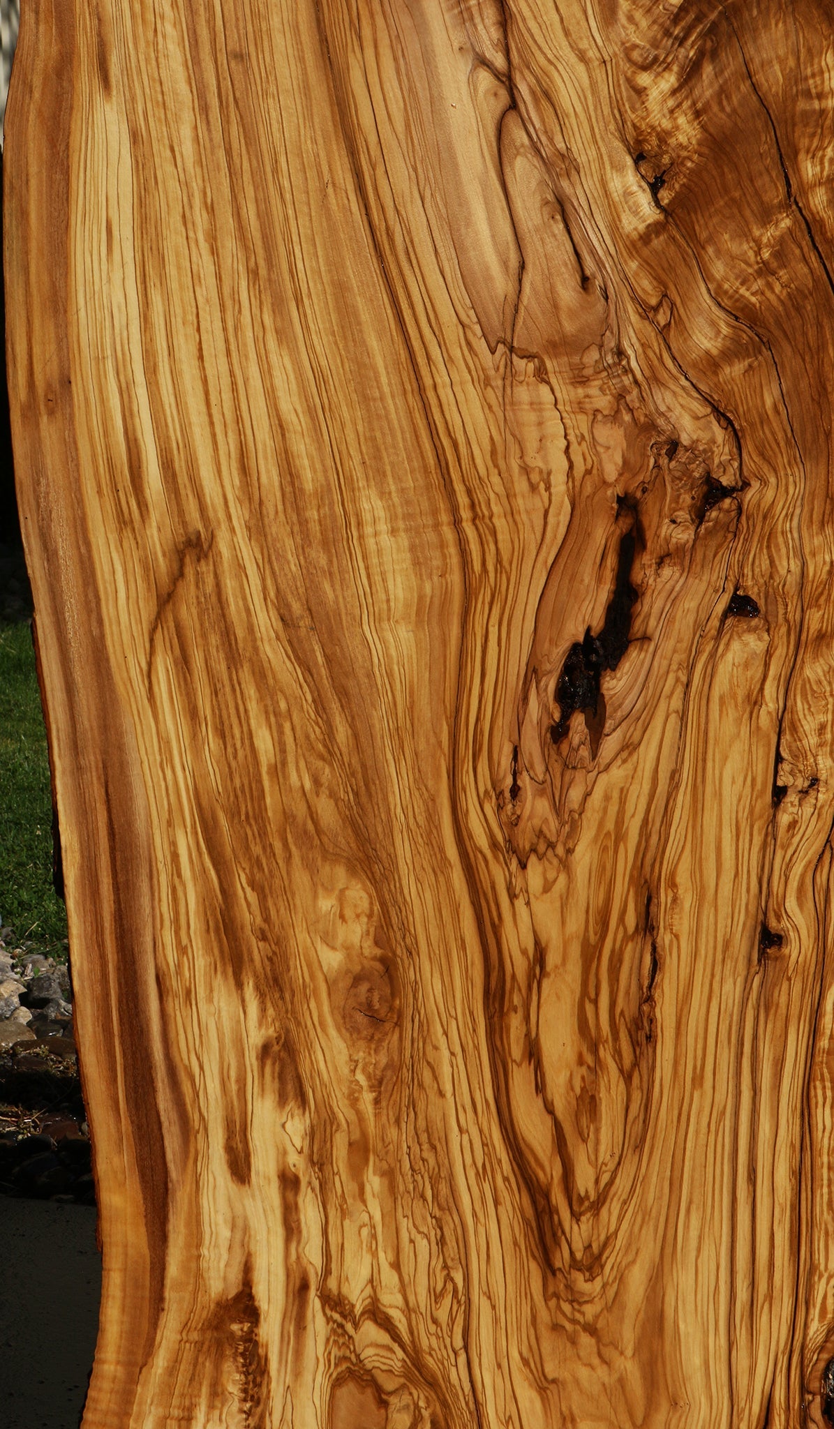 Rustic Italian Olive Live Edge Slab