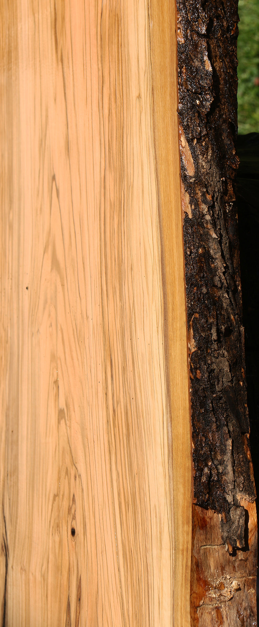 Rustic Italian Olive Live Edge Slab (Free Shipping Excluded)