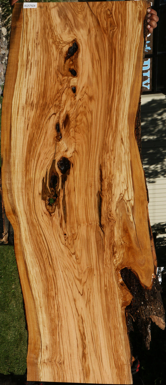 Rustic Italian Olive Live Edge Slab (Free Shipping Excluded)