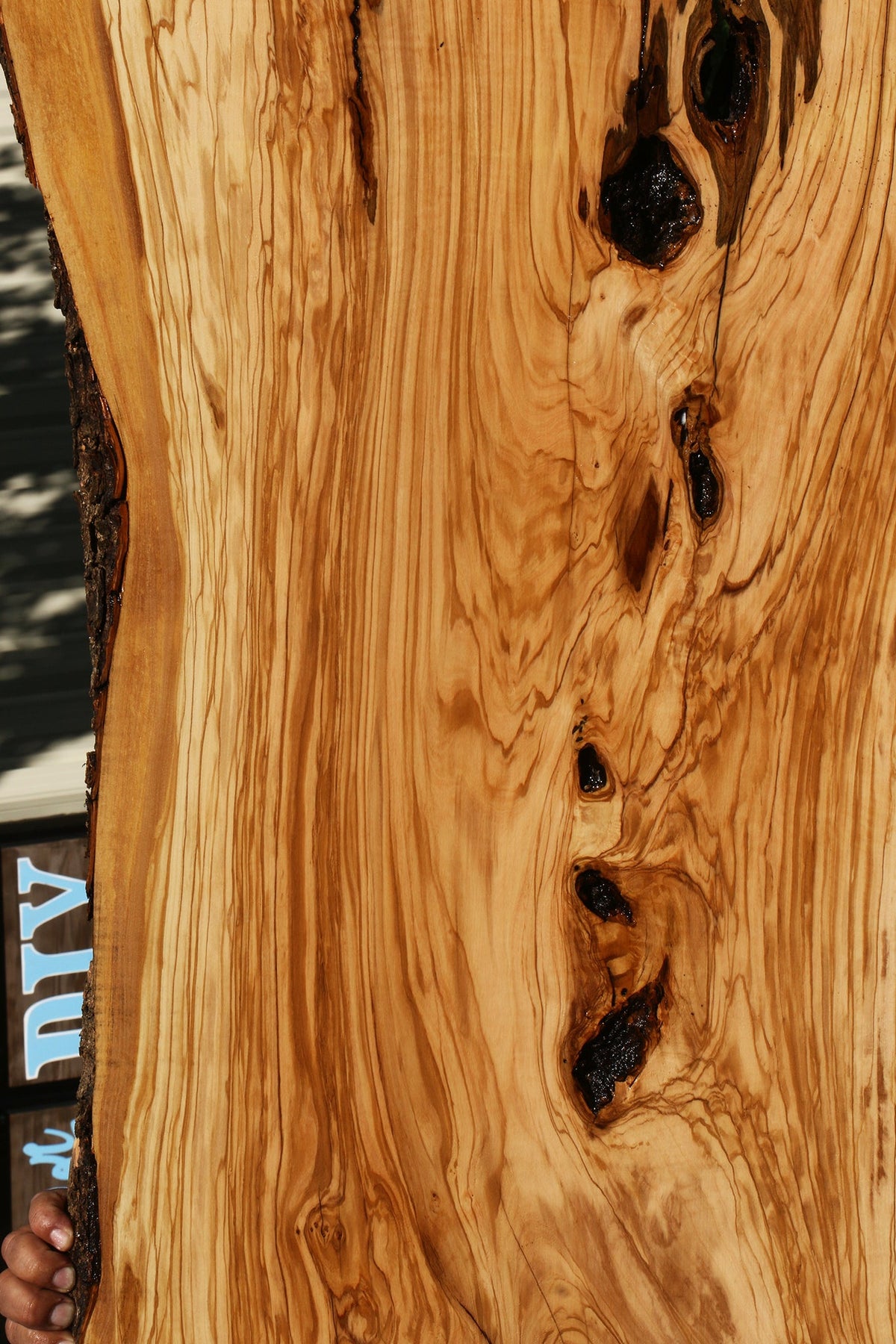 Rustic Italian Olive Live Edge Slab (Free Shipping Excluded)
