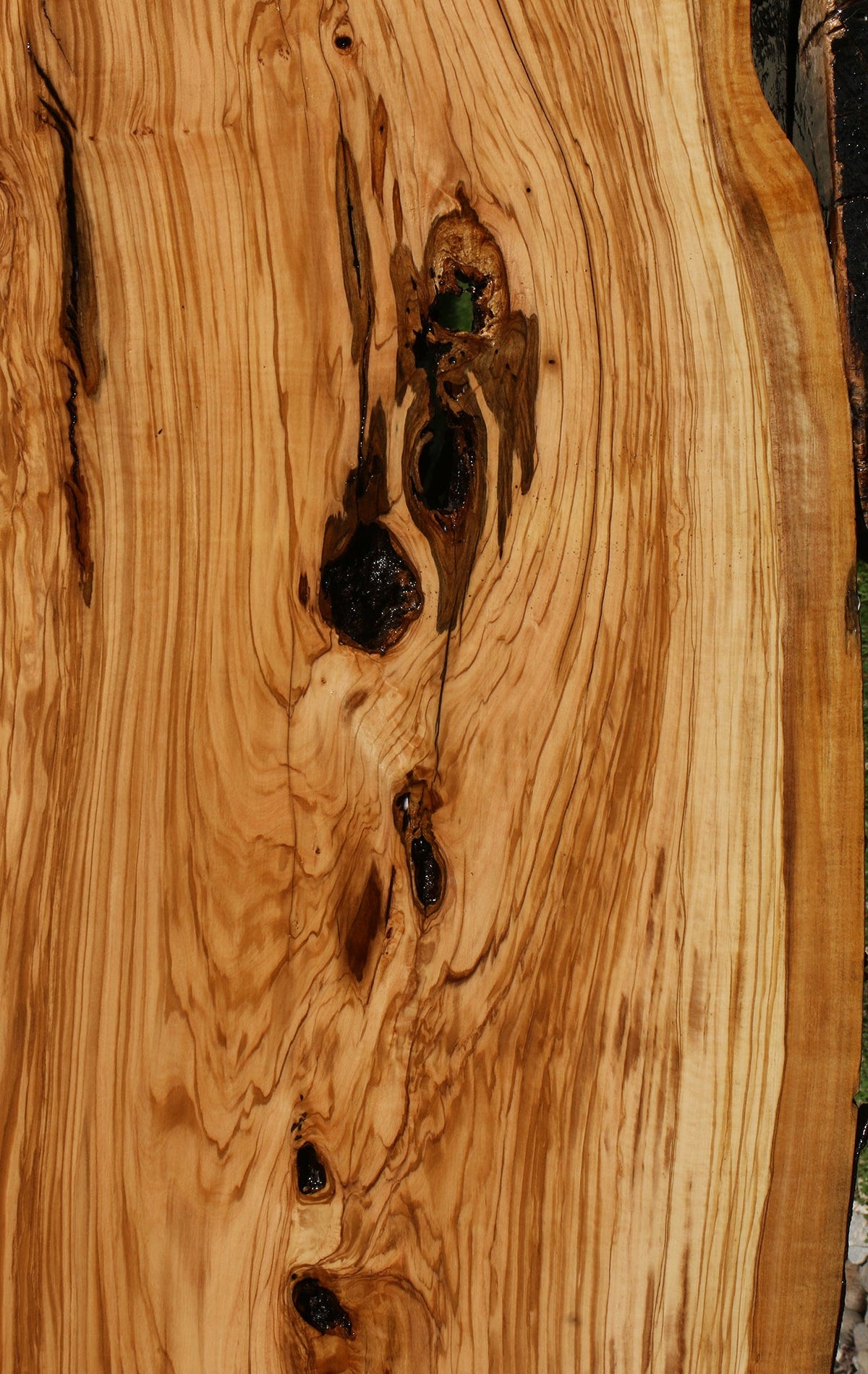 Rustic Italian Olive Live Edge Slab (Free Shipping Excluded)