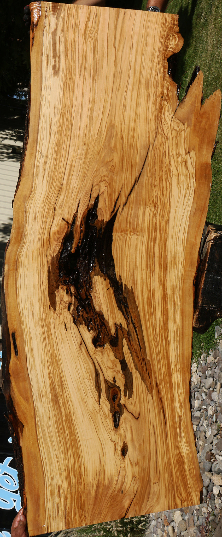 Rustic Italian Olive Live Edge Slab (Free Shipping Excluded)