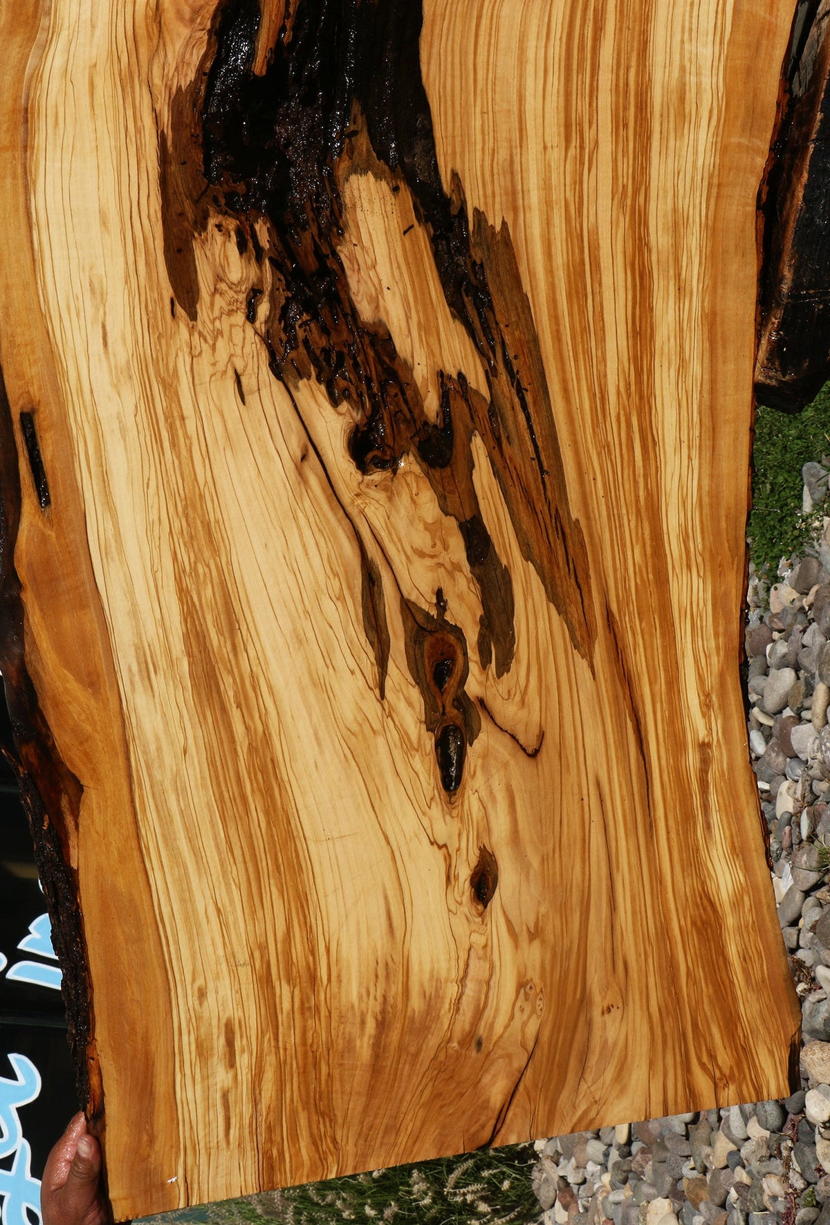 Rustic Italian Olive Live Edge Slab (Free Shipping Excluded)