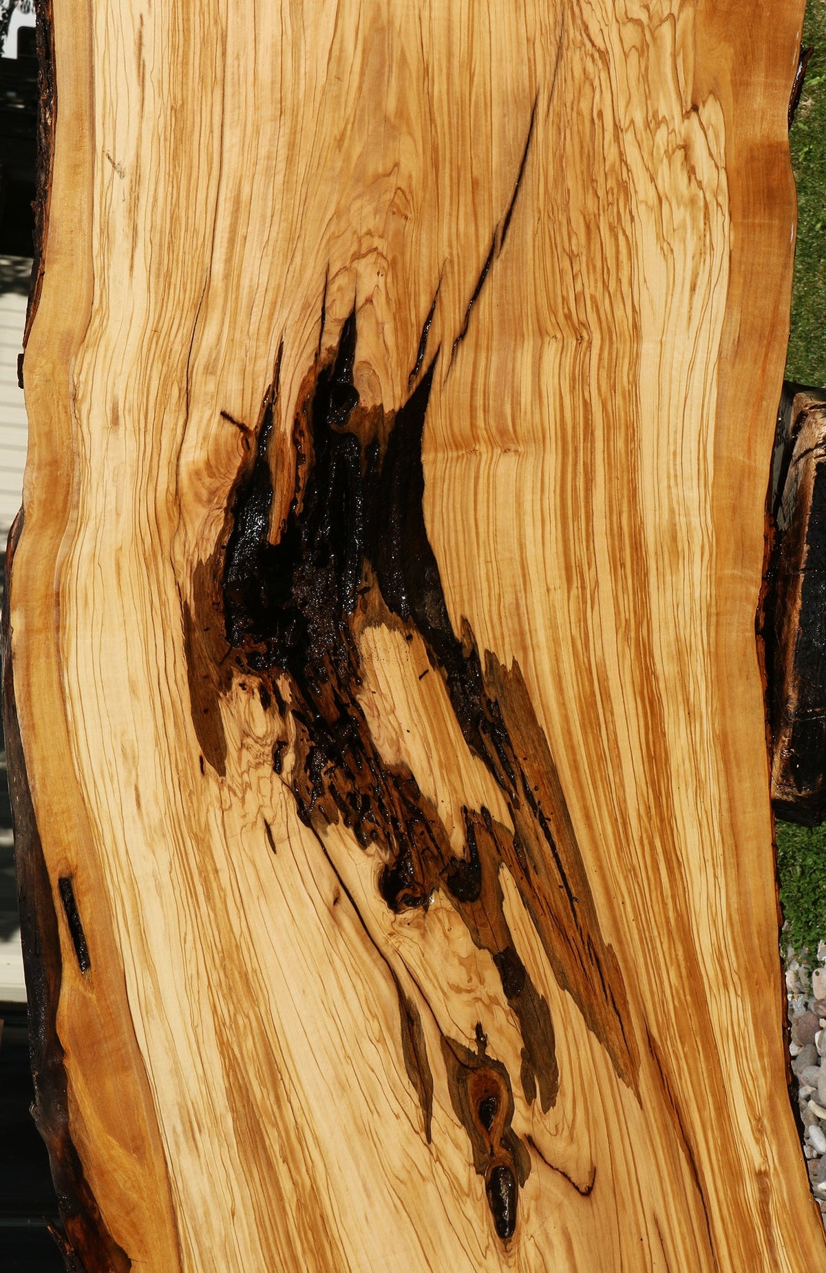 Rustic Italian Olive Live Edge Slab (Free Shipping Excluded)
