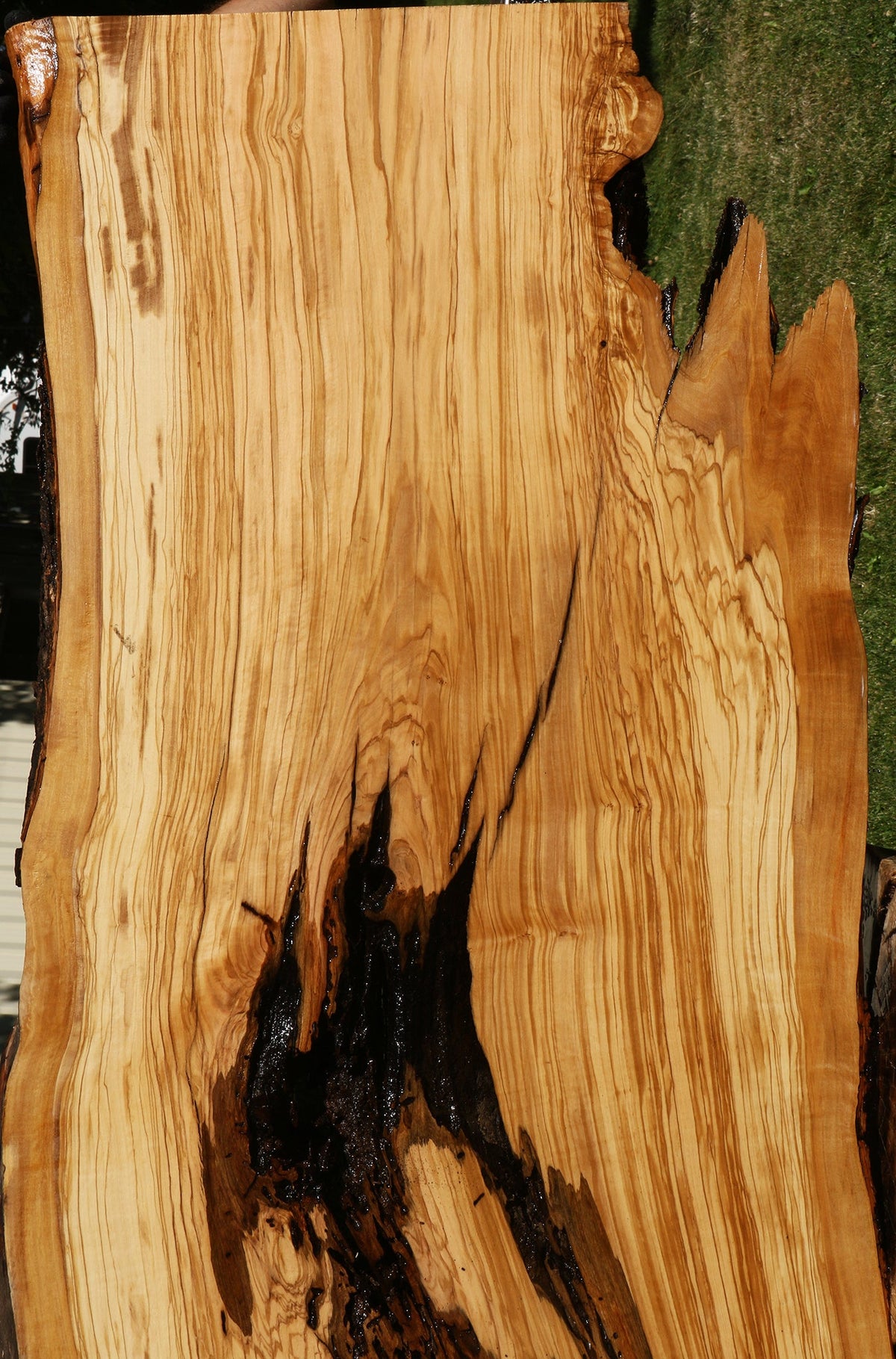 Rustic Italian Olive Live Edge Slab (Free Shipping Excluded)