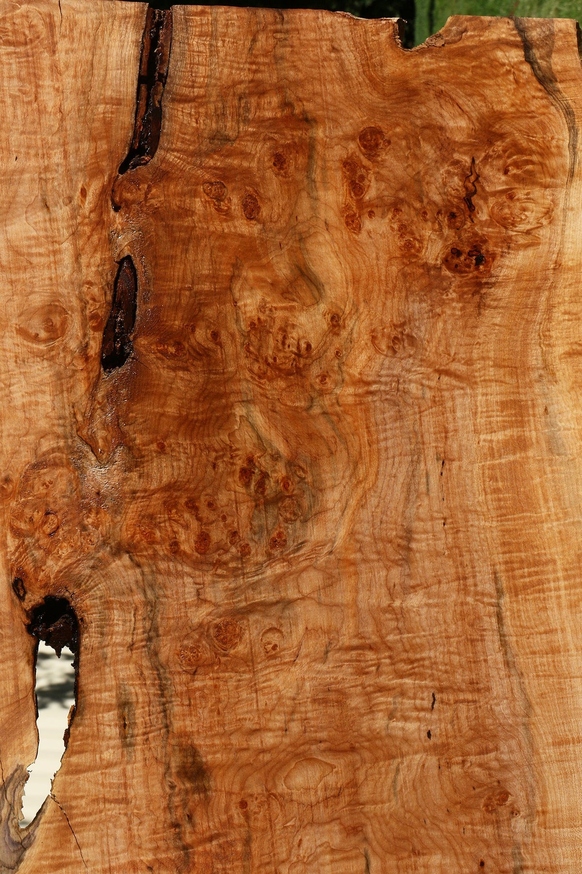 Maple Burl Live Edge Slab
