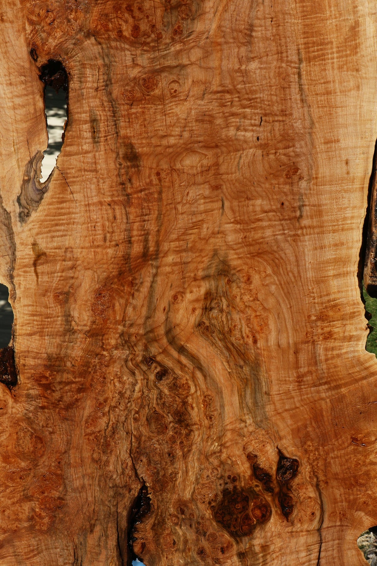 Maple Burl Live Edge Slab