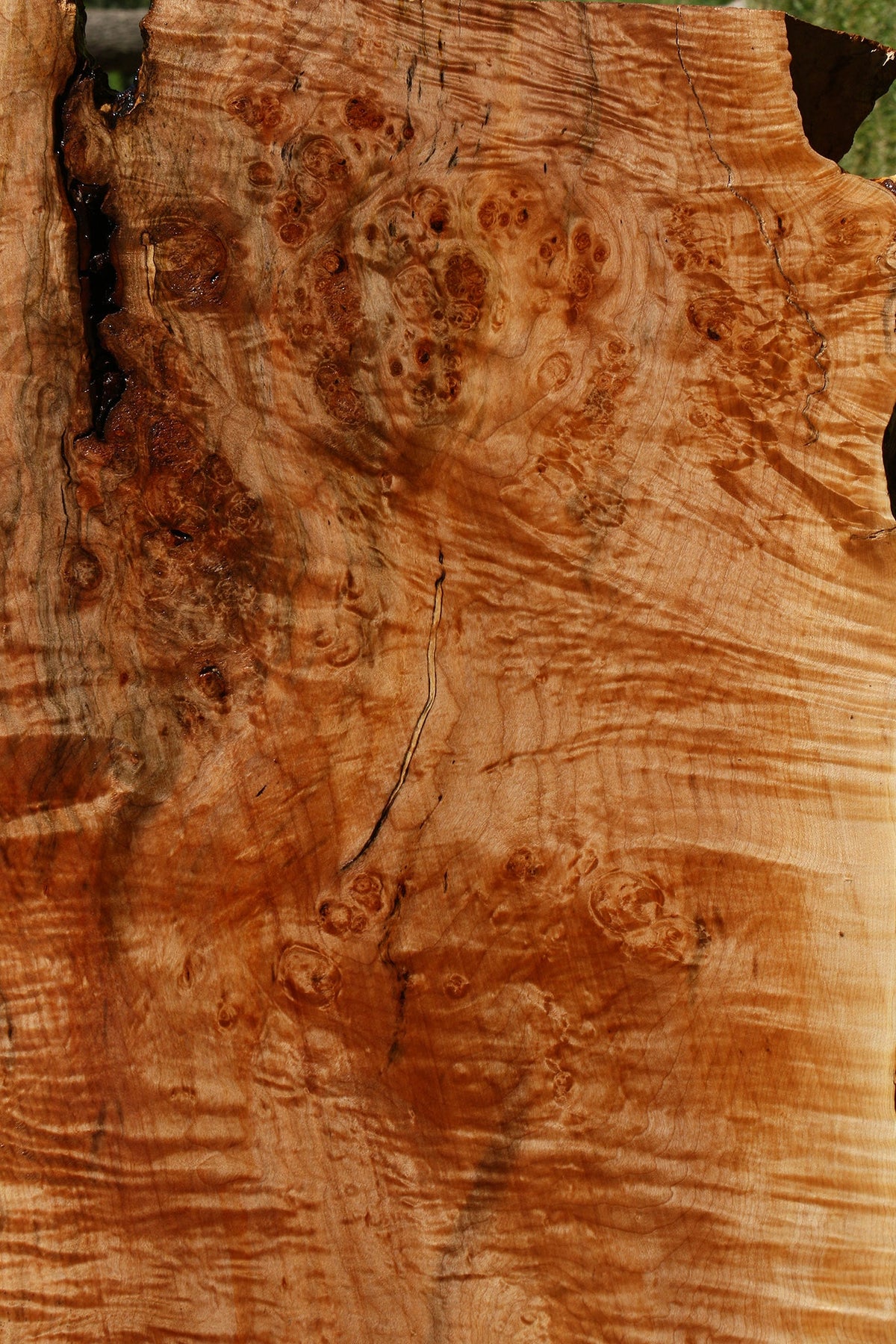 Maple Burl Live Edge Slab