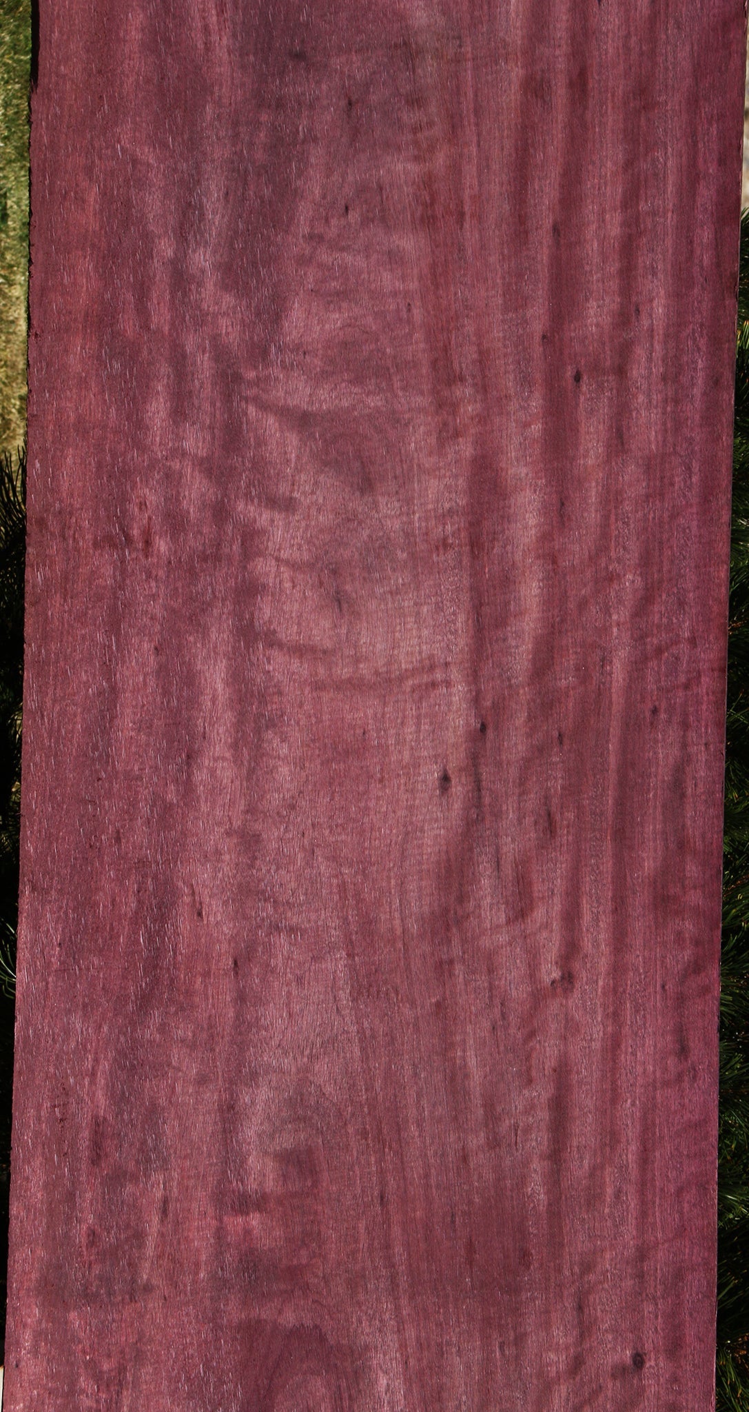 Extra Fancy Purpleheart Slab