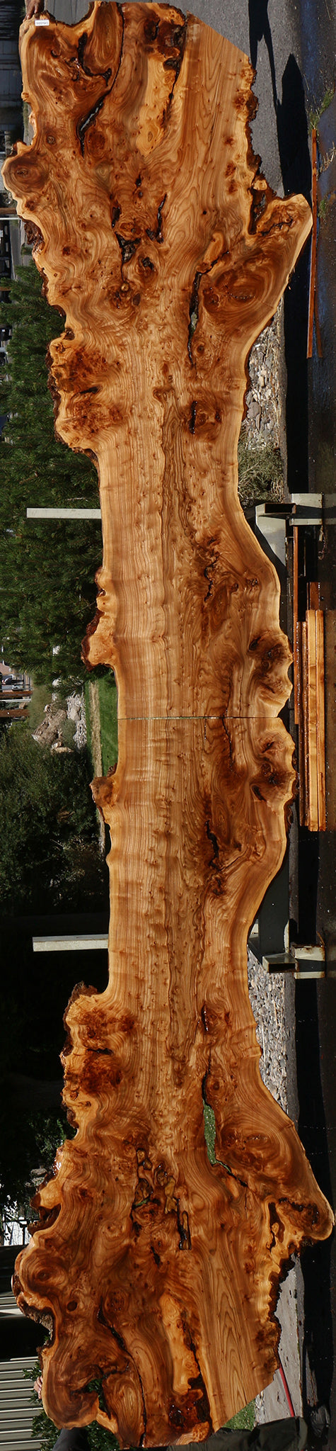 136" Long Figured Elm Burl Live Edge Bookmatched Slab Set