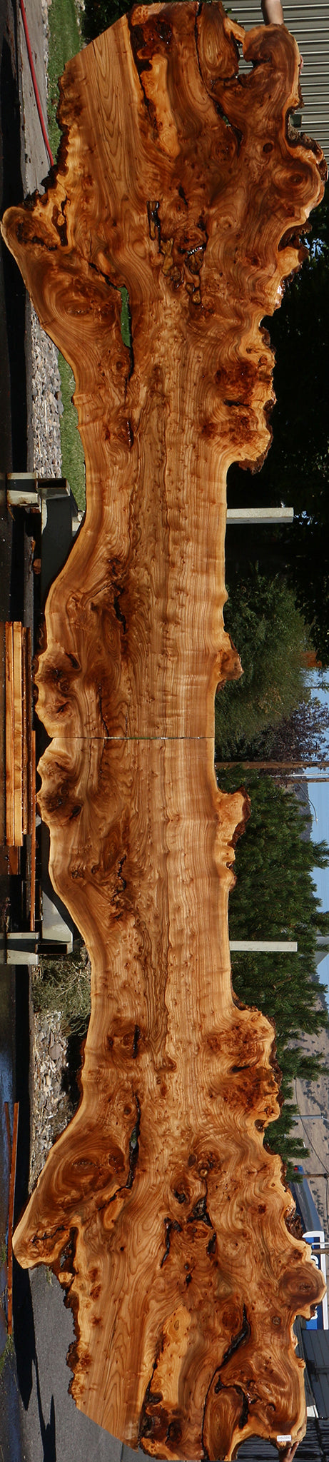 136" Long Figured Elm Burl Live Edge Bookmatched Slab Set