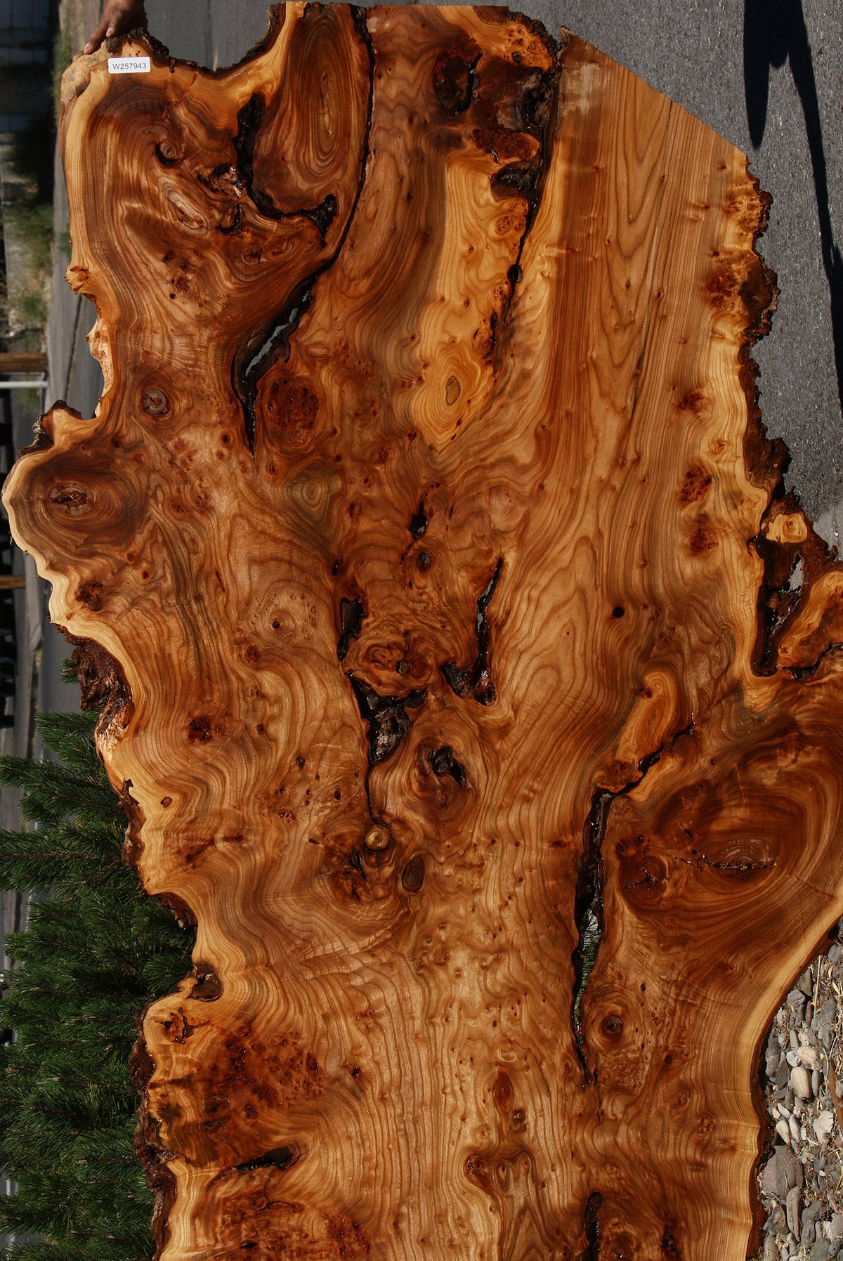 136" Long Figured Elm Burl Live Edge Bookmatched Slab Set