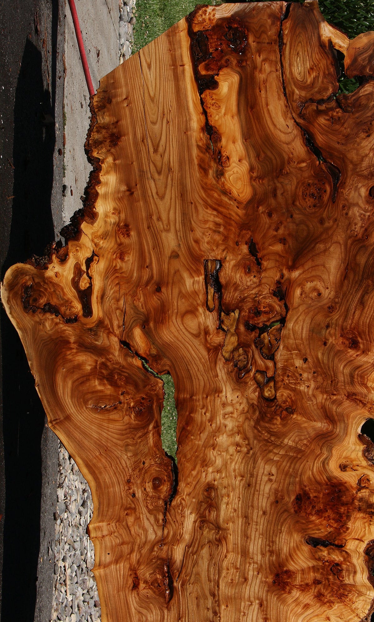 136" Long Figured Elm Burl Live Edge Bookmatched Slab Set
