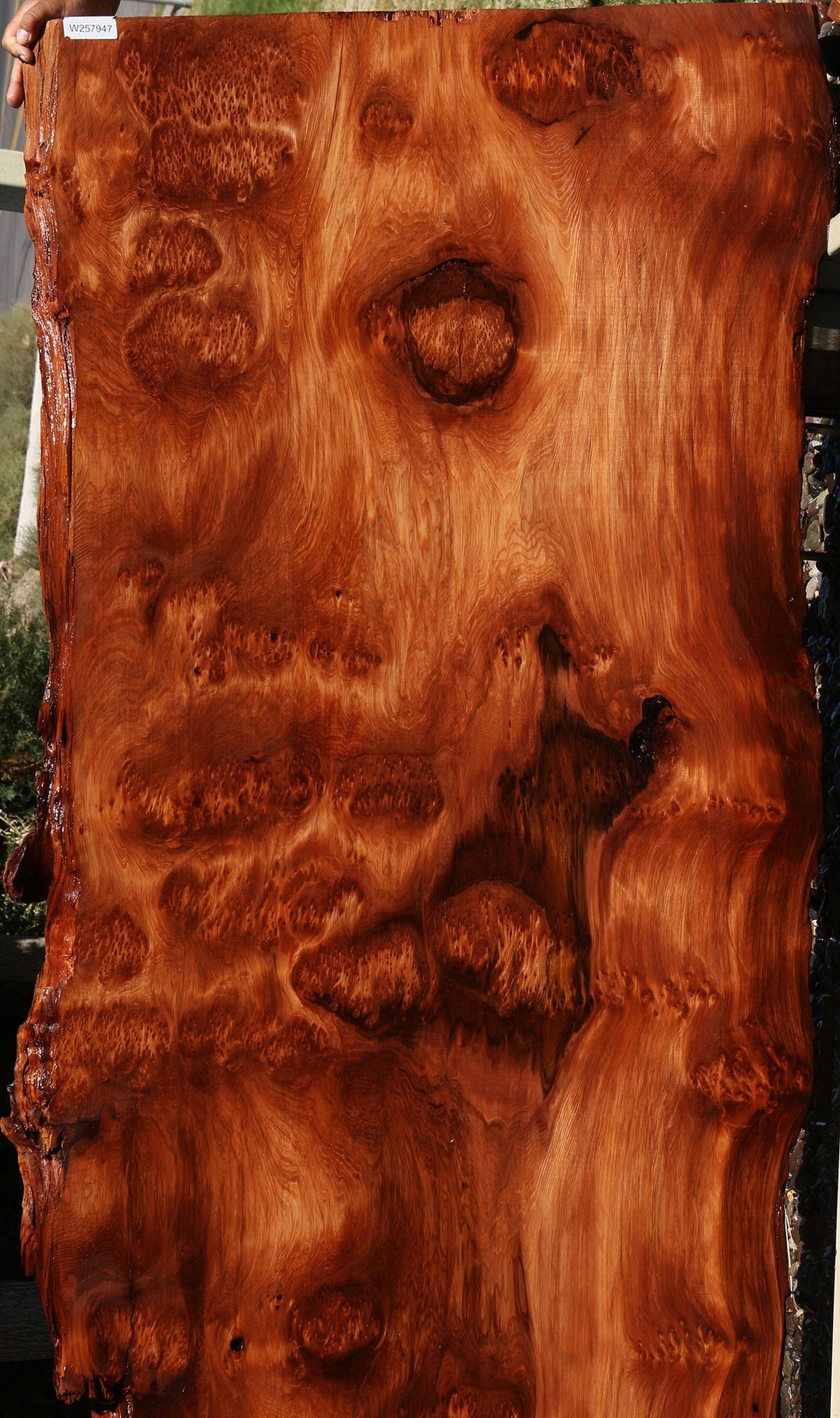 114" Long Redwood Live Edge Slab