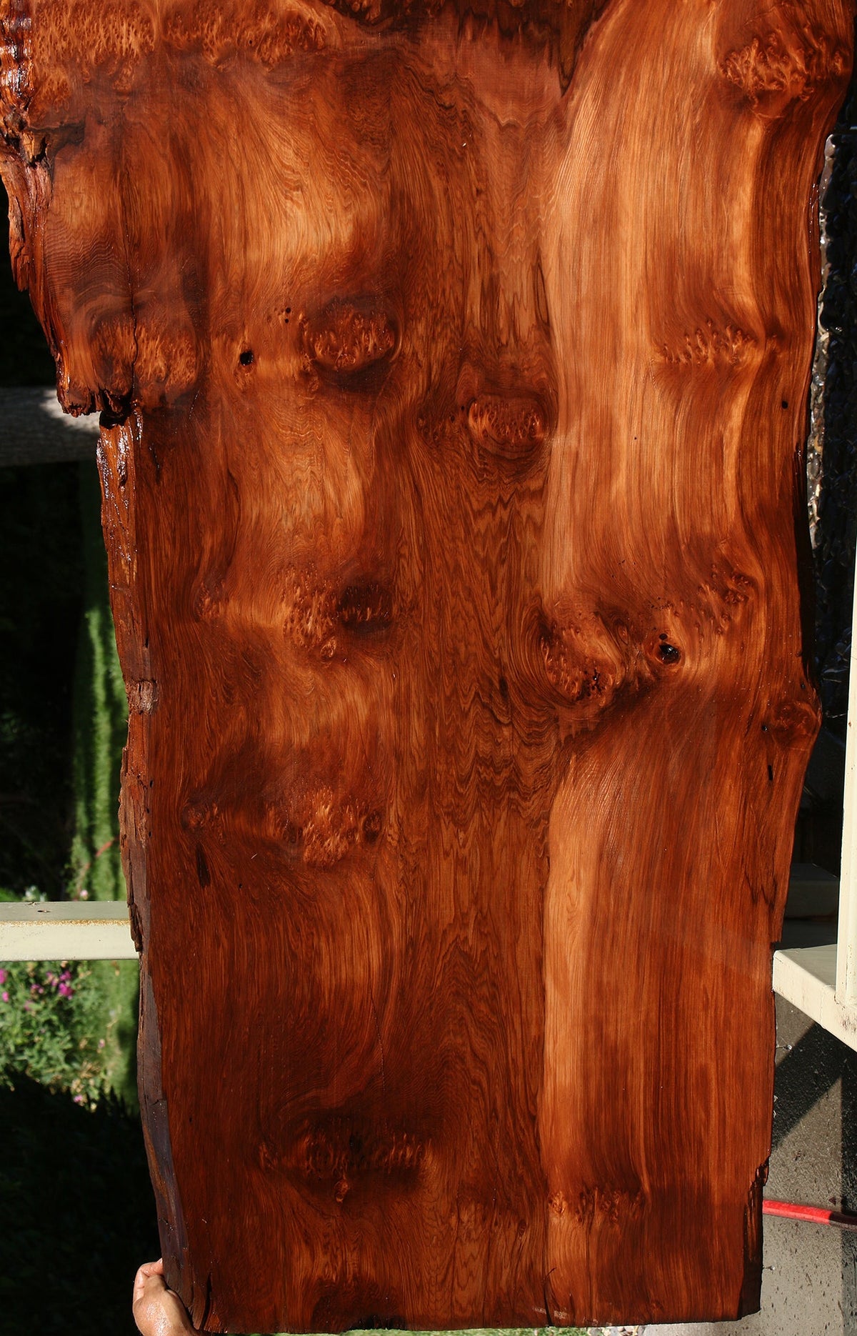 114" Long Redwood Live Edge Slab