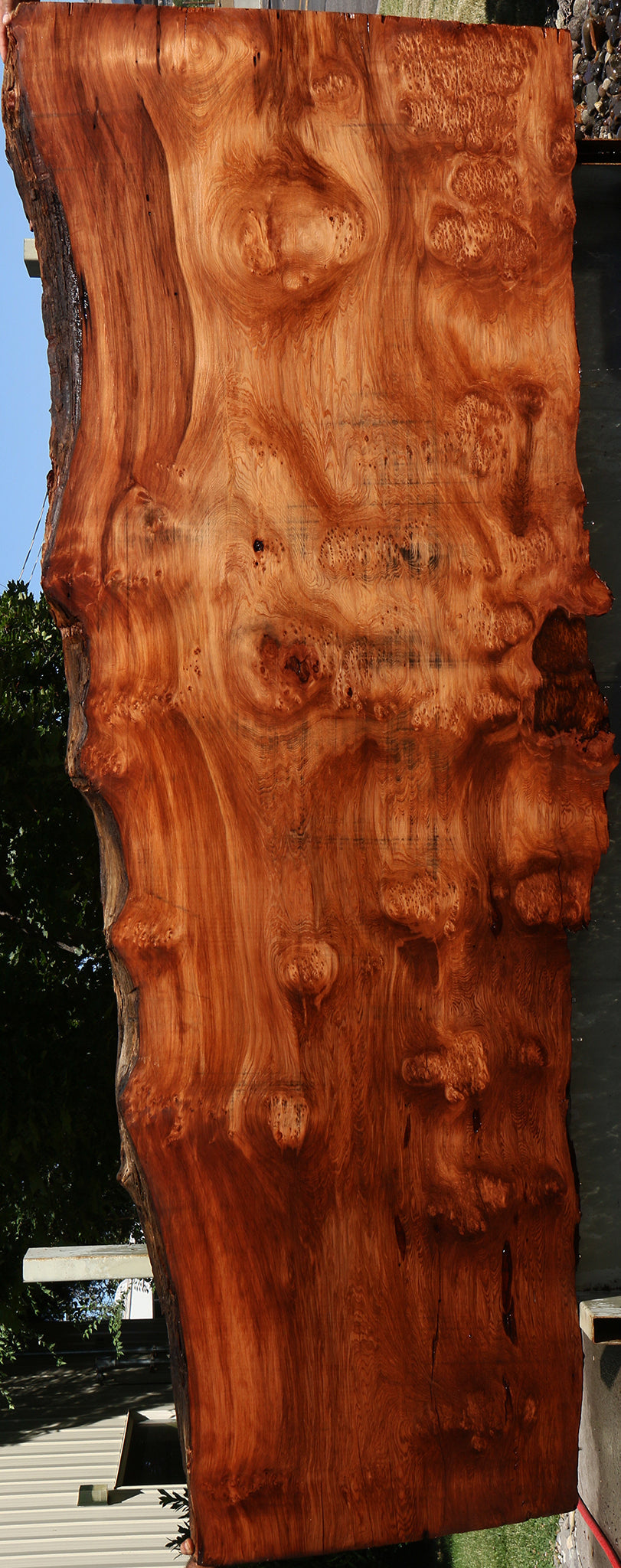 114" Long Redwood Live Edge Slab