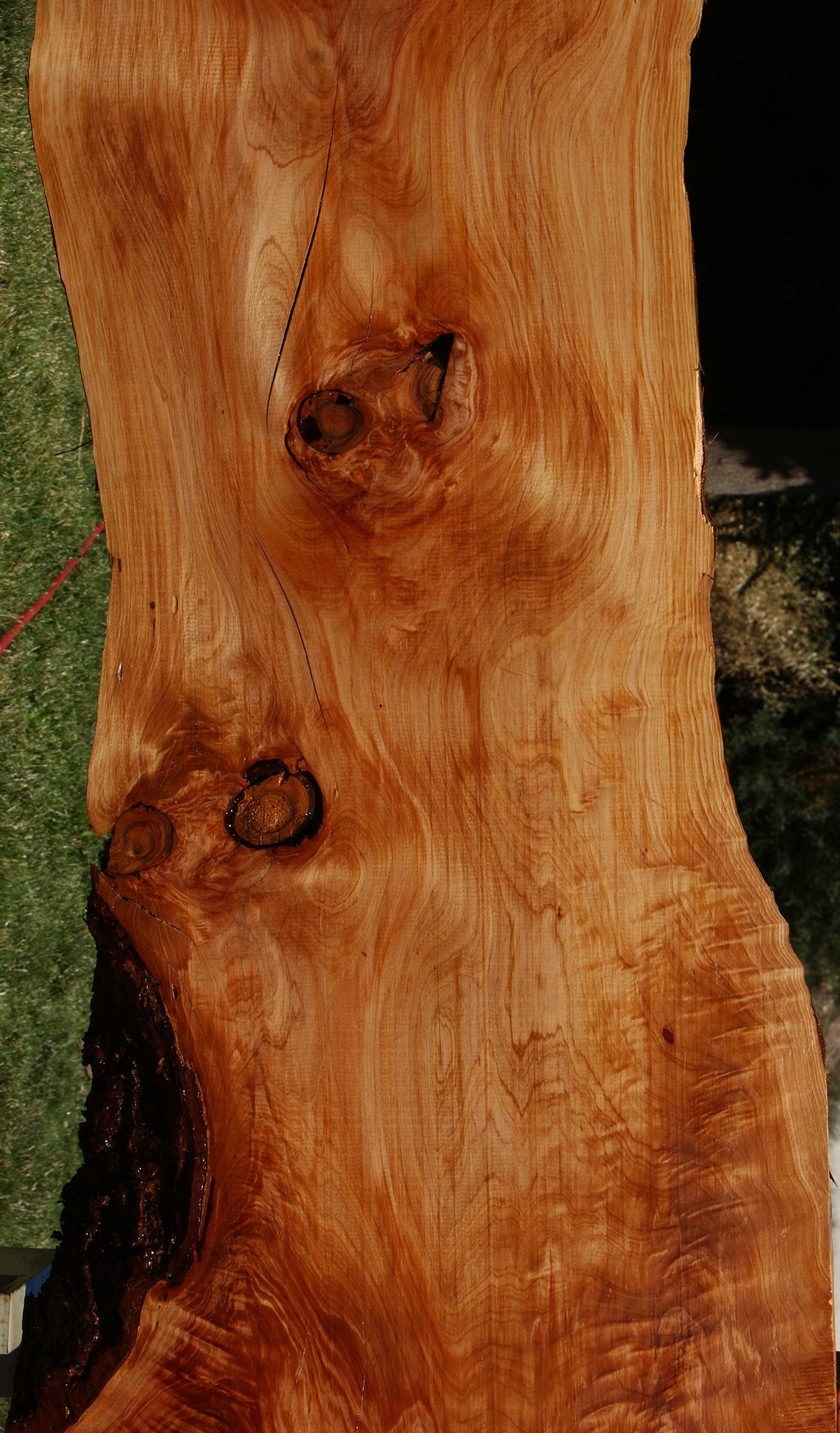 Cedar of Lebanon Live Edge Slab