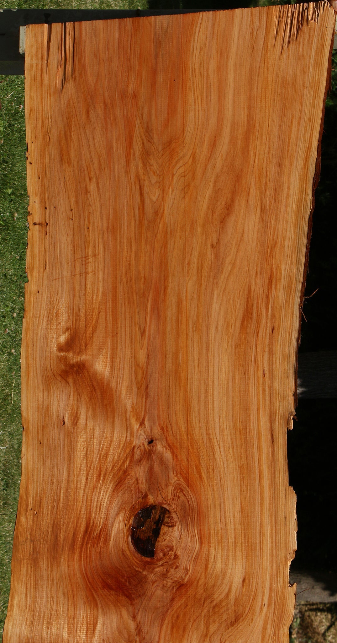 Cedar of Lebanon Live Edge Slab