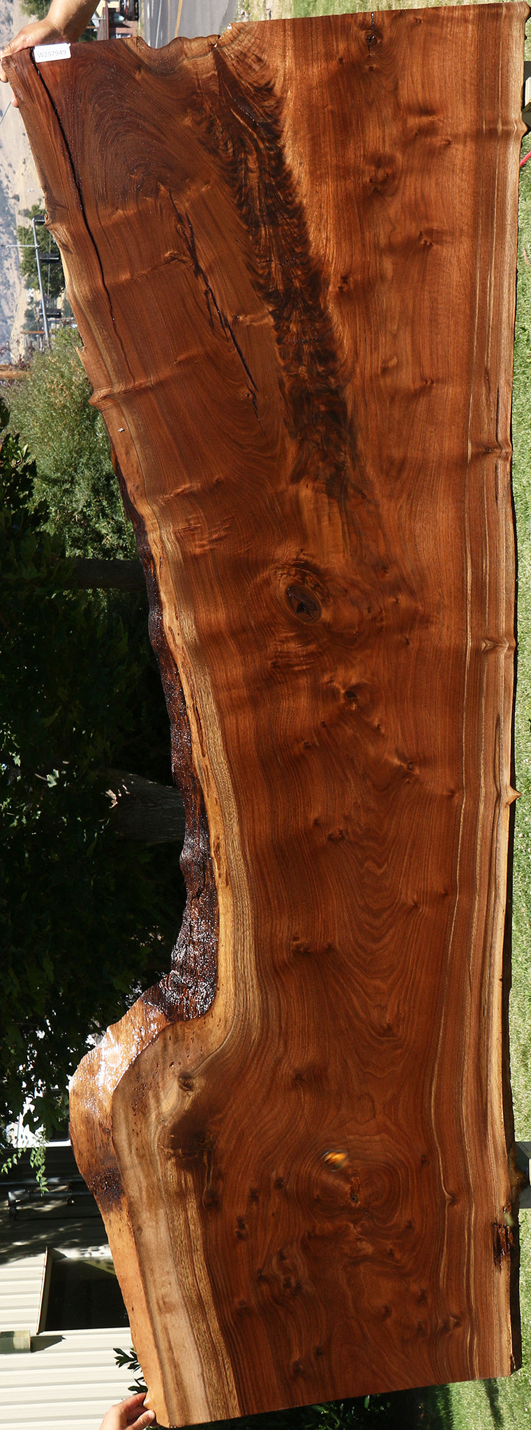 104" Claro Walnut Live Edge Slab