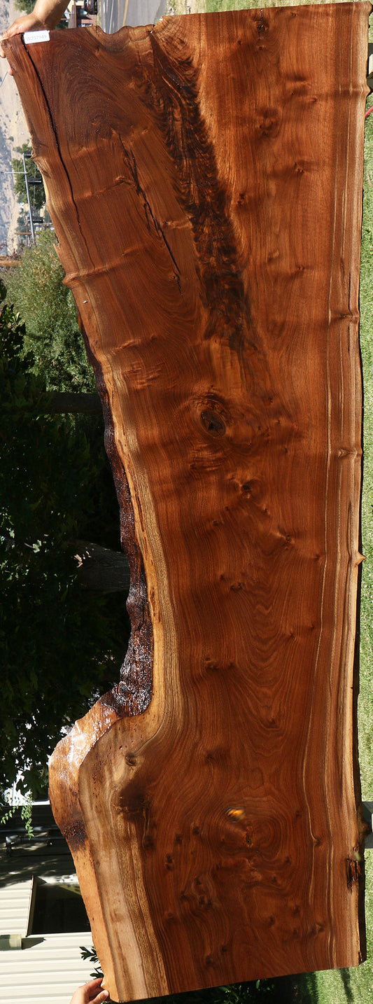 104" Claro Walnut Live Edge Slab