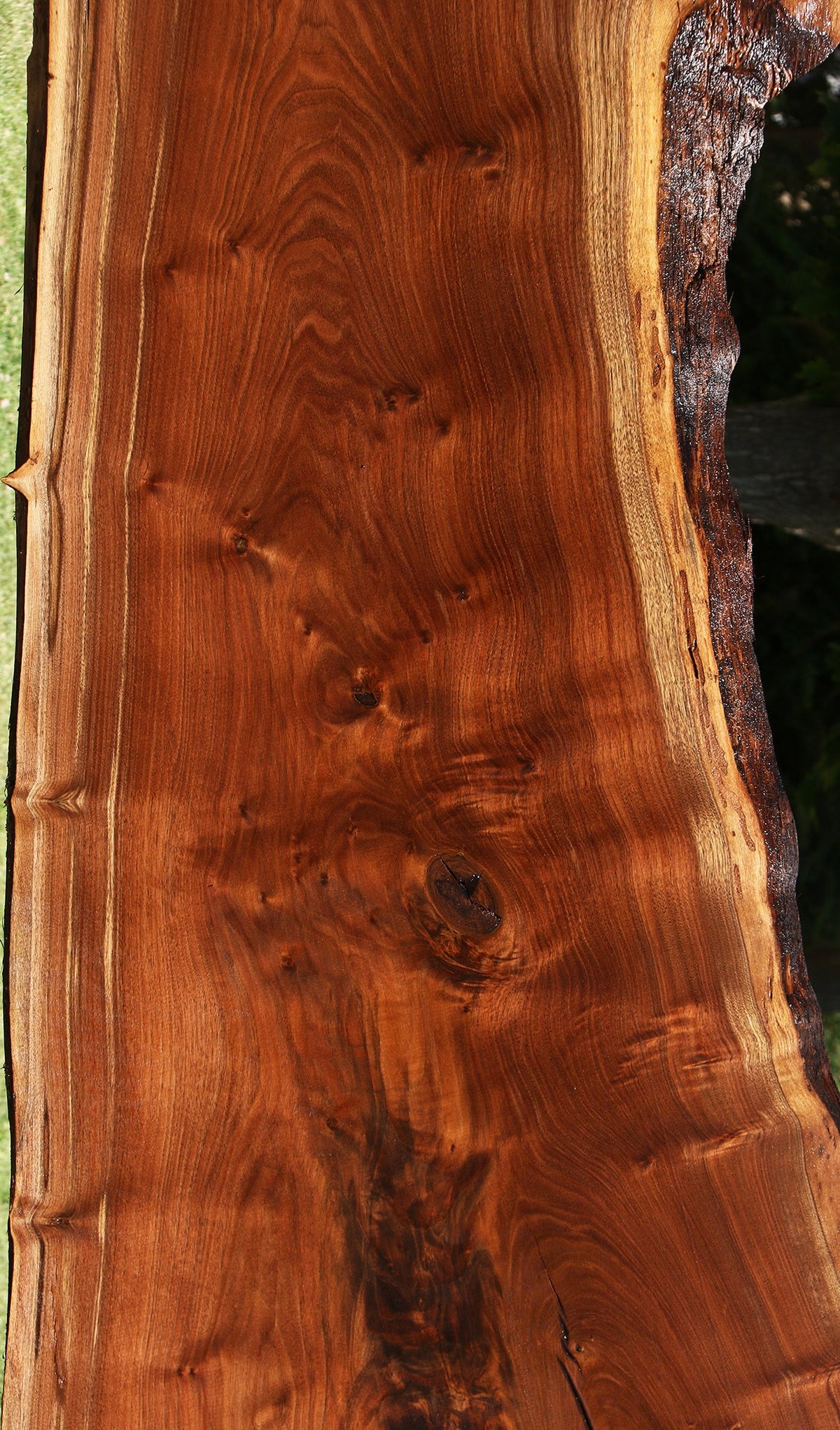 104" Claro Walnut Live Edge Slab