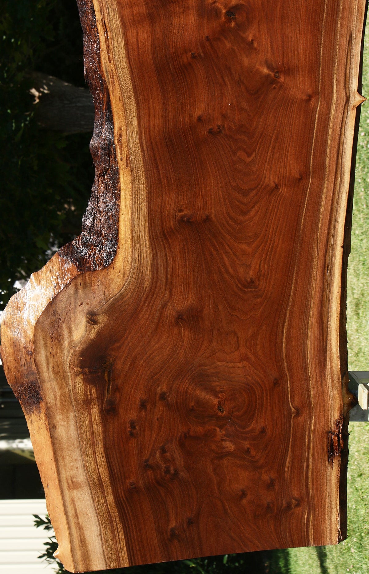 104" Claro Walnut Live Edge Slab