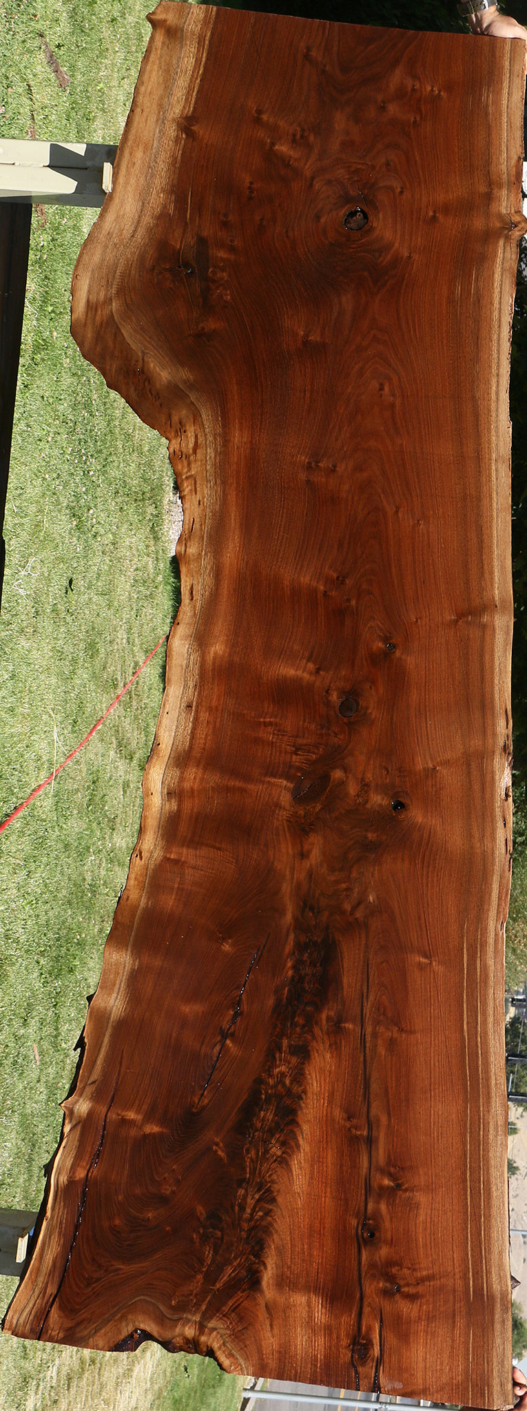 104" Claro Walnut Live Edge Slab