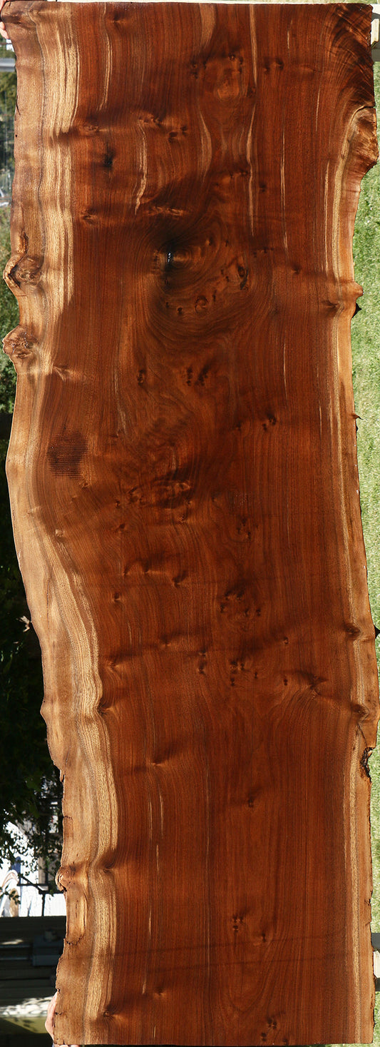 Extra Fancy Claro Walnut Live Edge Slab