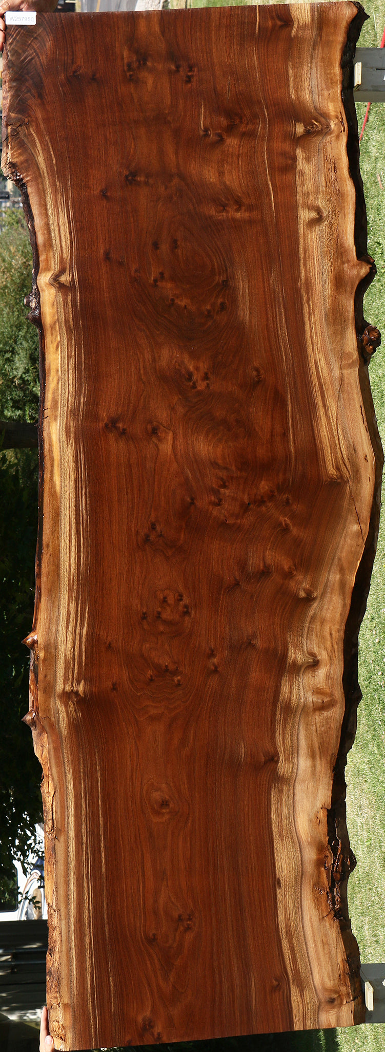 Extra Fancy Claro Walnut Live Edge Slab